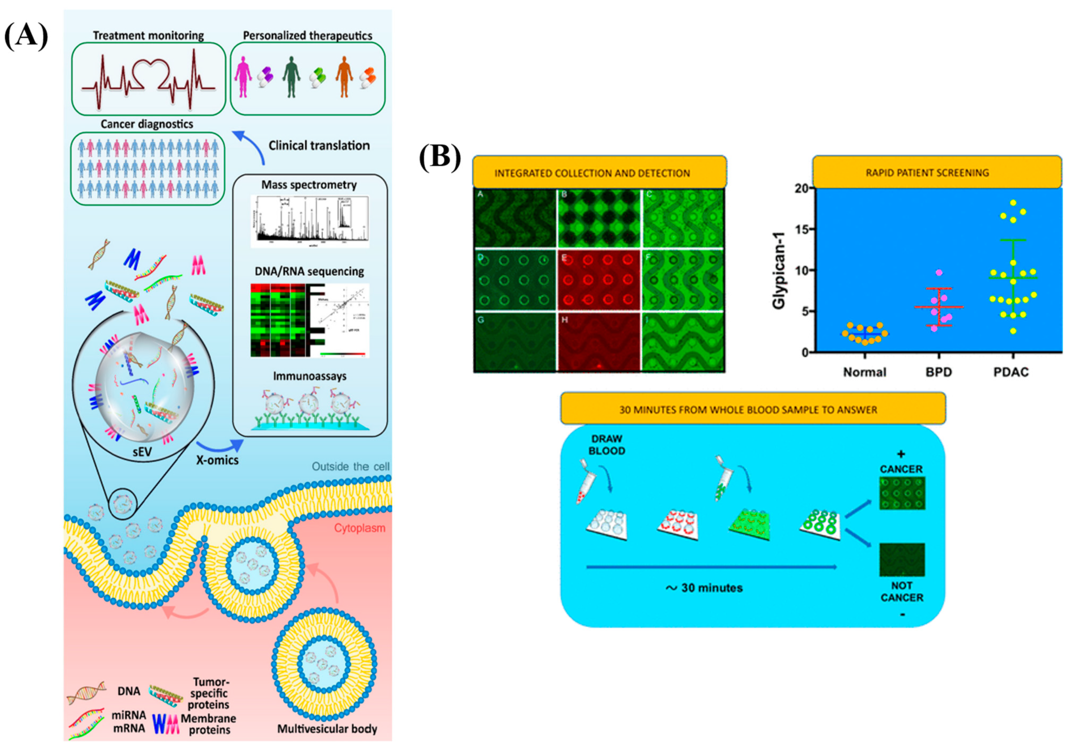 Diagnostics 13 00766 g008