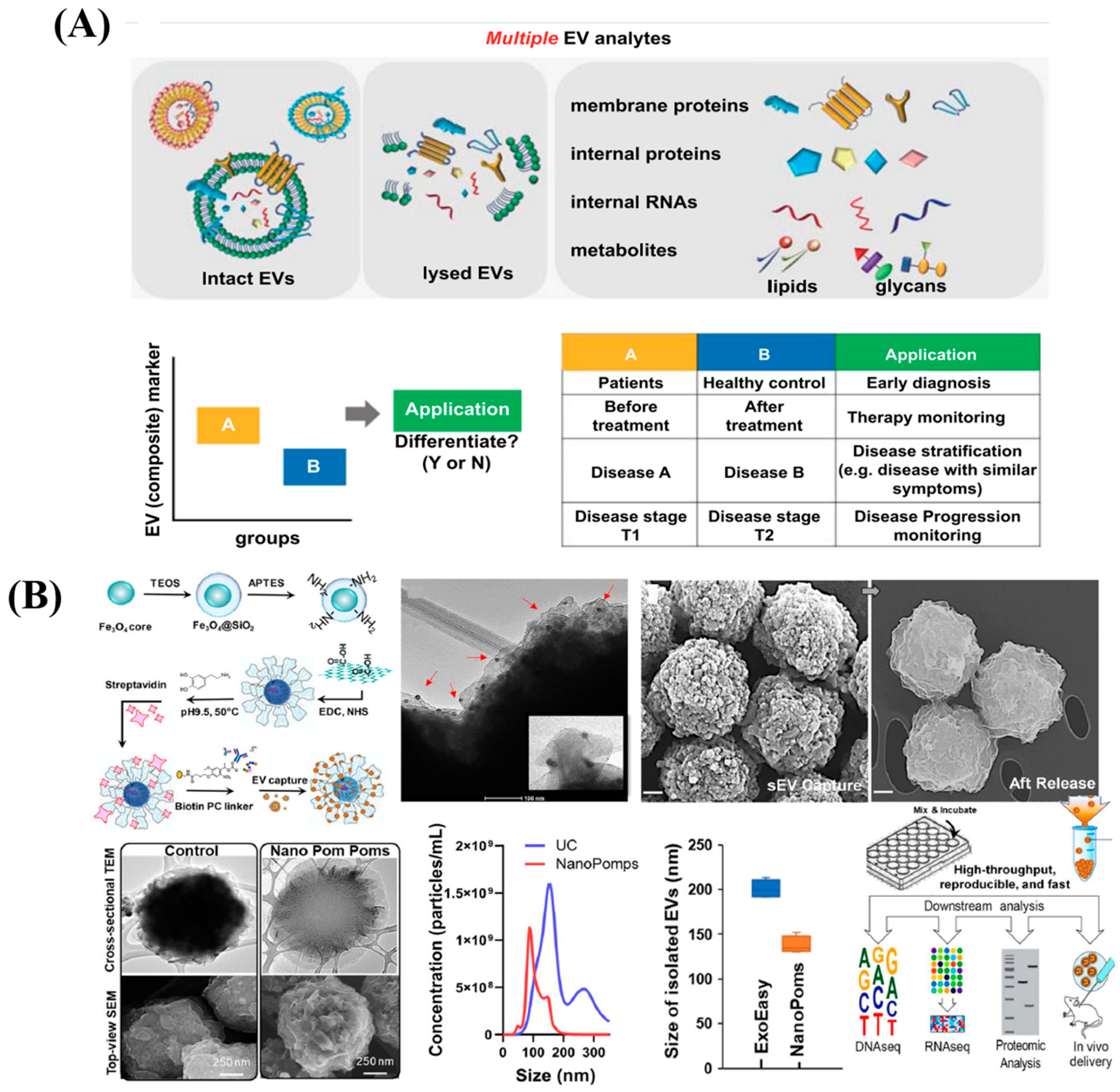 Diagnostics 13 00766 g009
