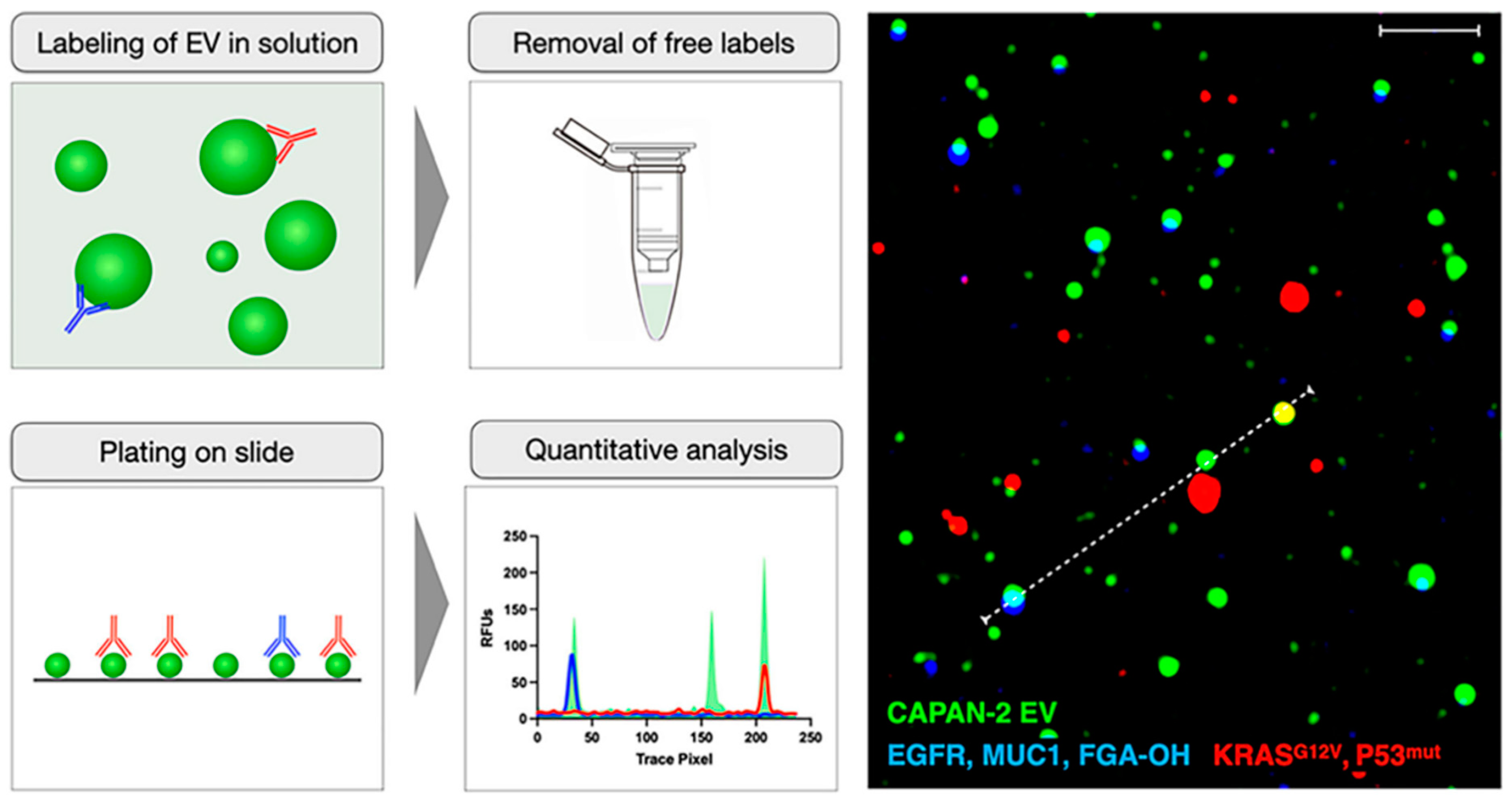 Diagnostics 13 00766 g010