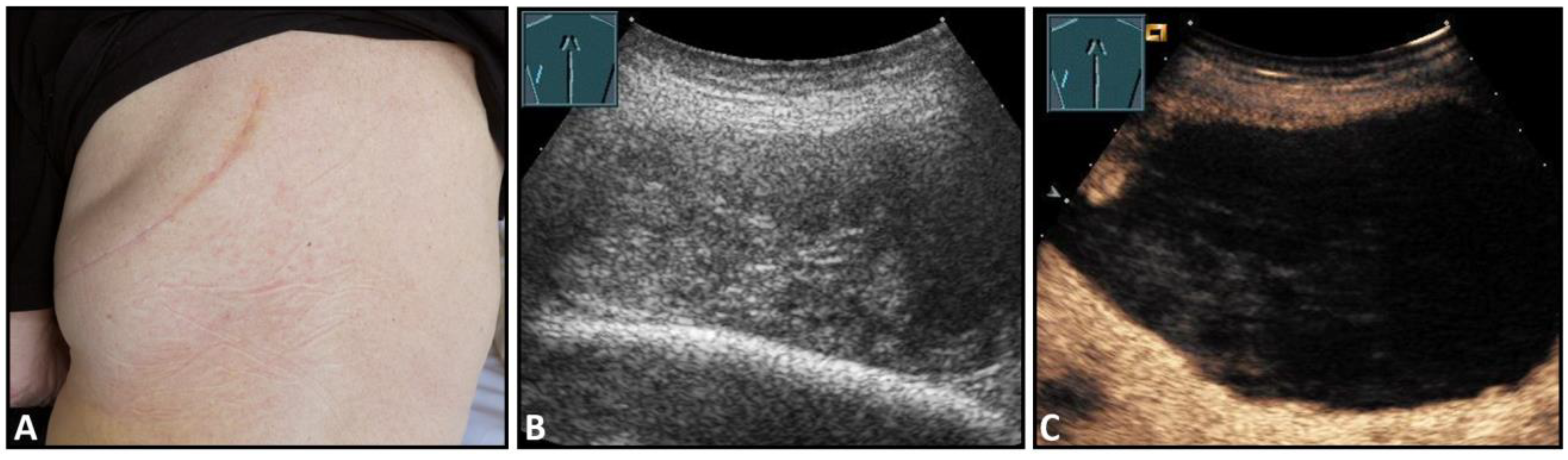 Diagnostics 13 00767 g001