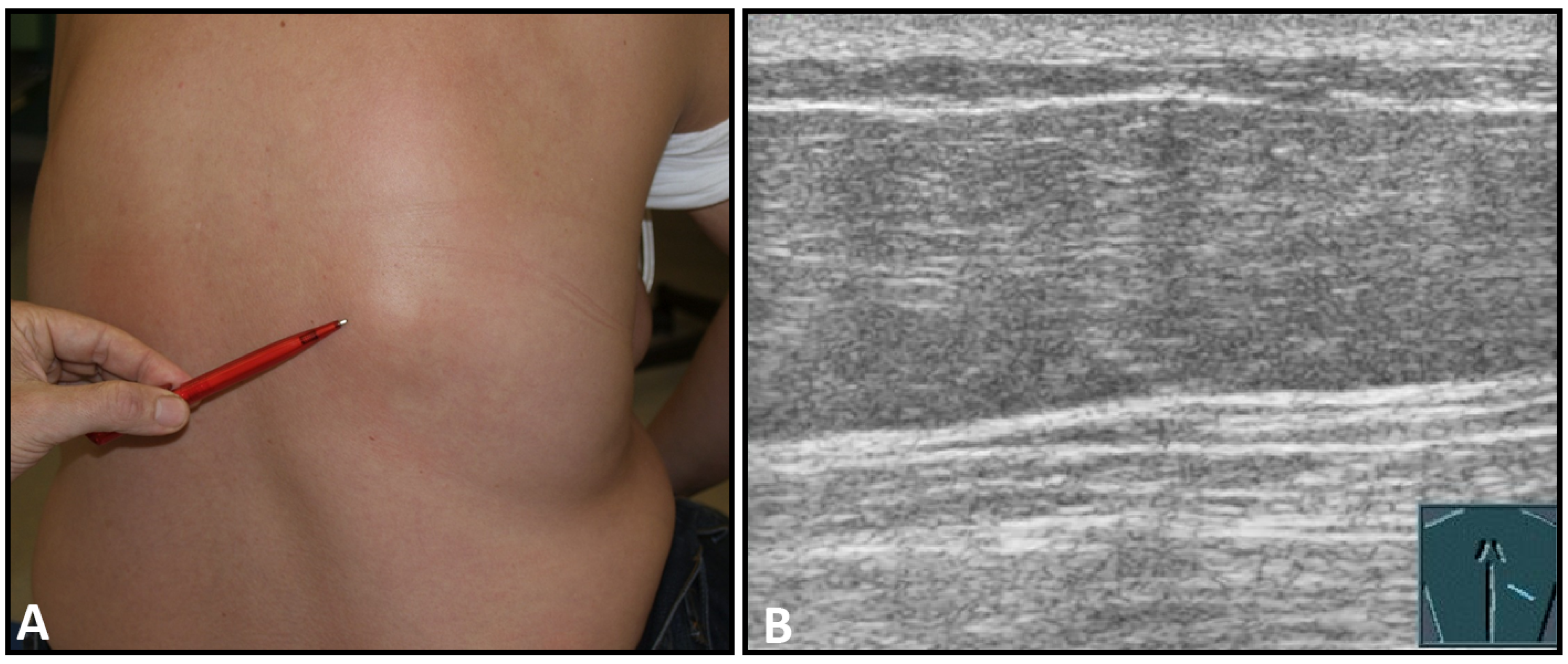 Diagnostics 13 00767 g005