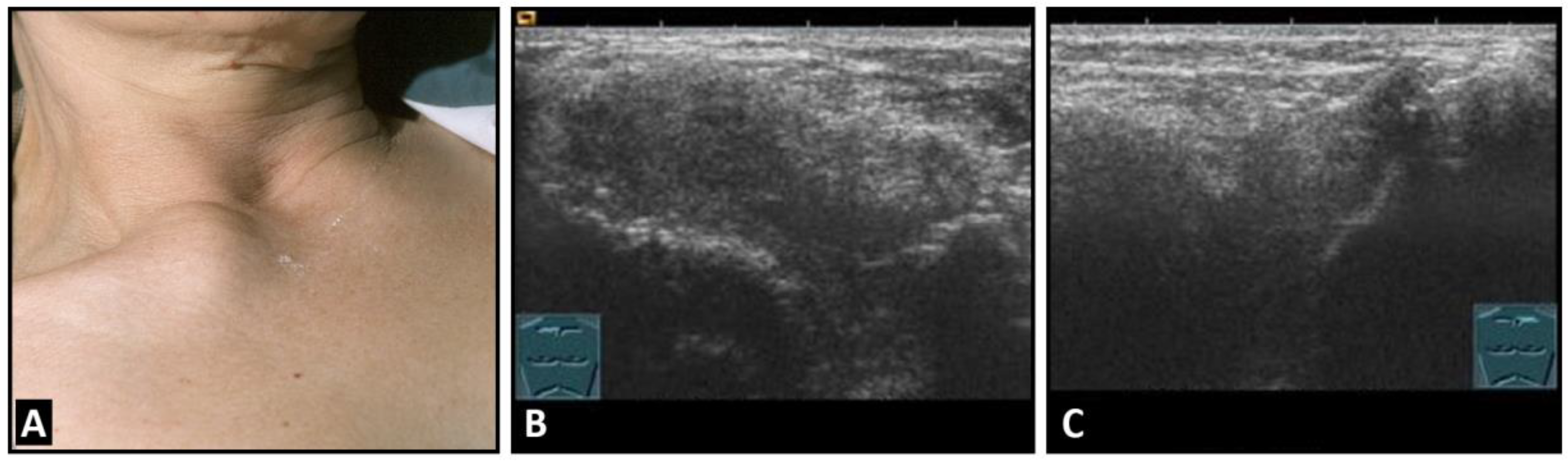 Diagnostics 13 00767 g006