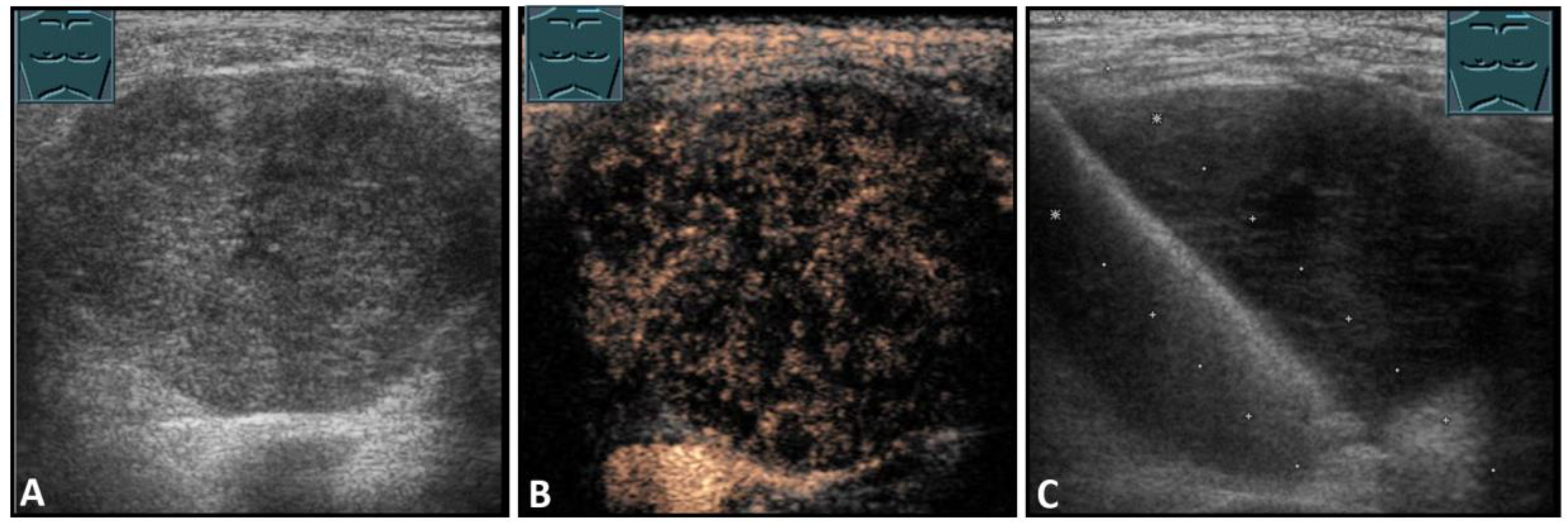 Diagnostics 13 00767 g007