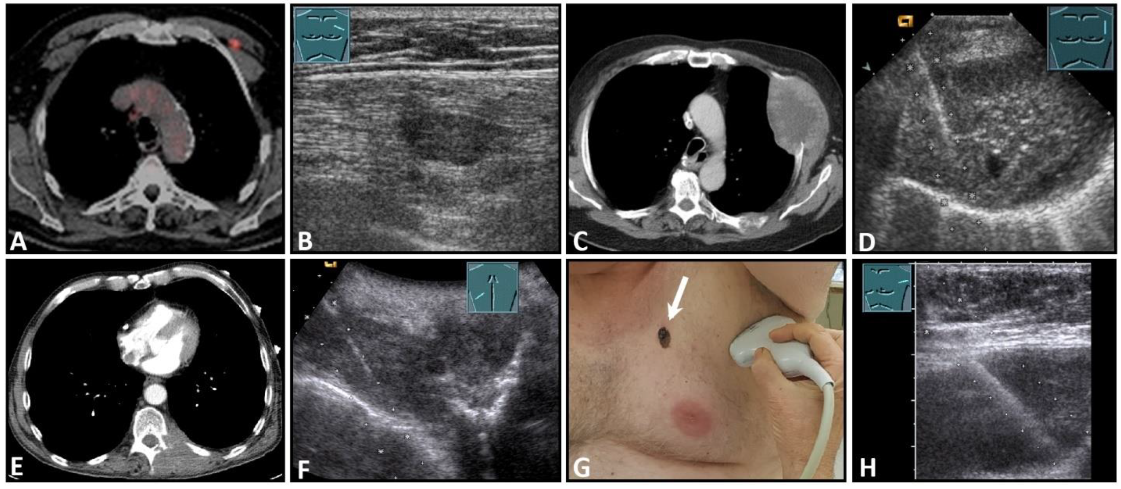 Diagnostics 13 00767 g009