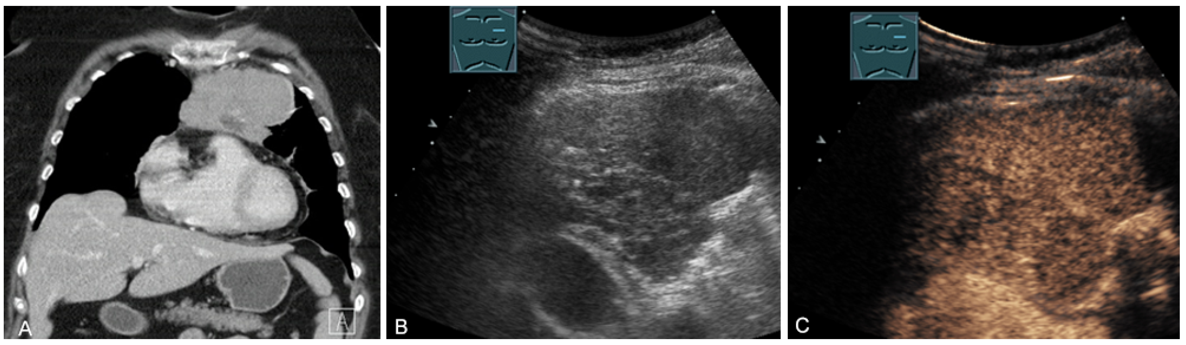 Diagnostics 13 00767 g019