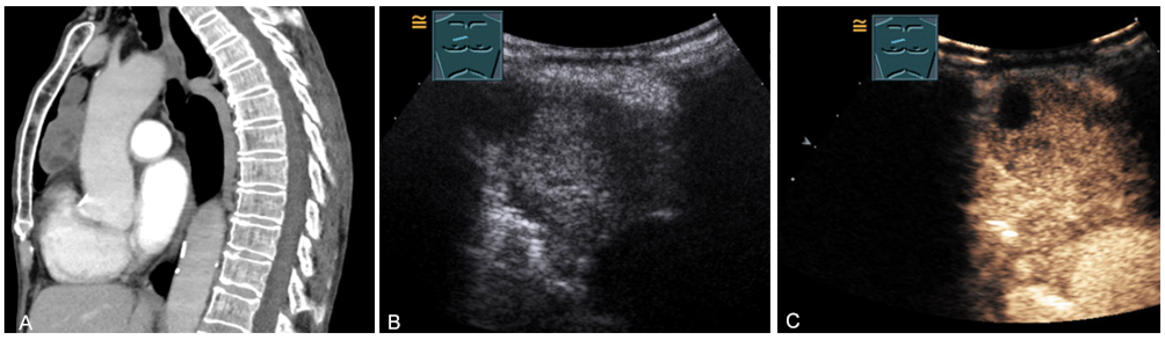 Diagnostics 13 00767 g020