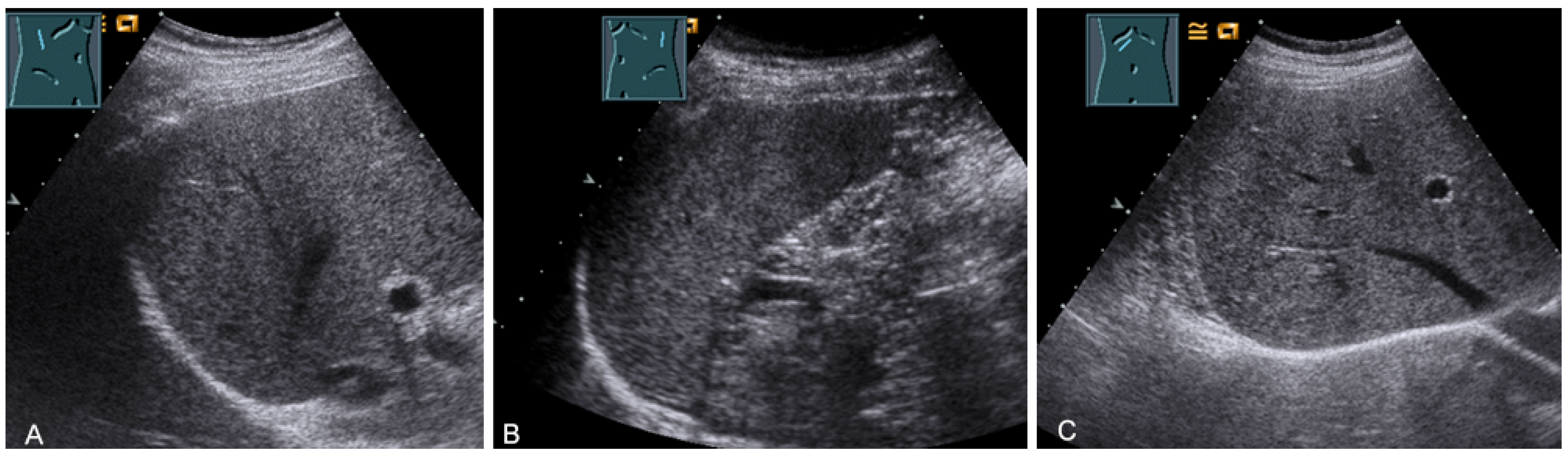 Diagnostics 13 00767 g029