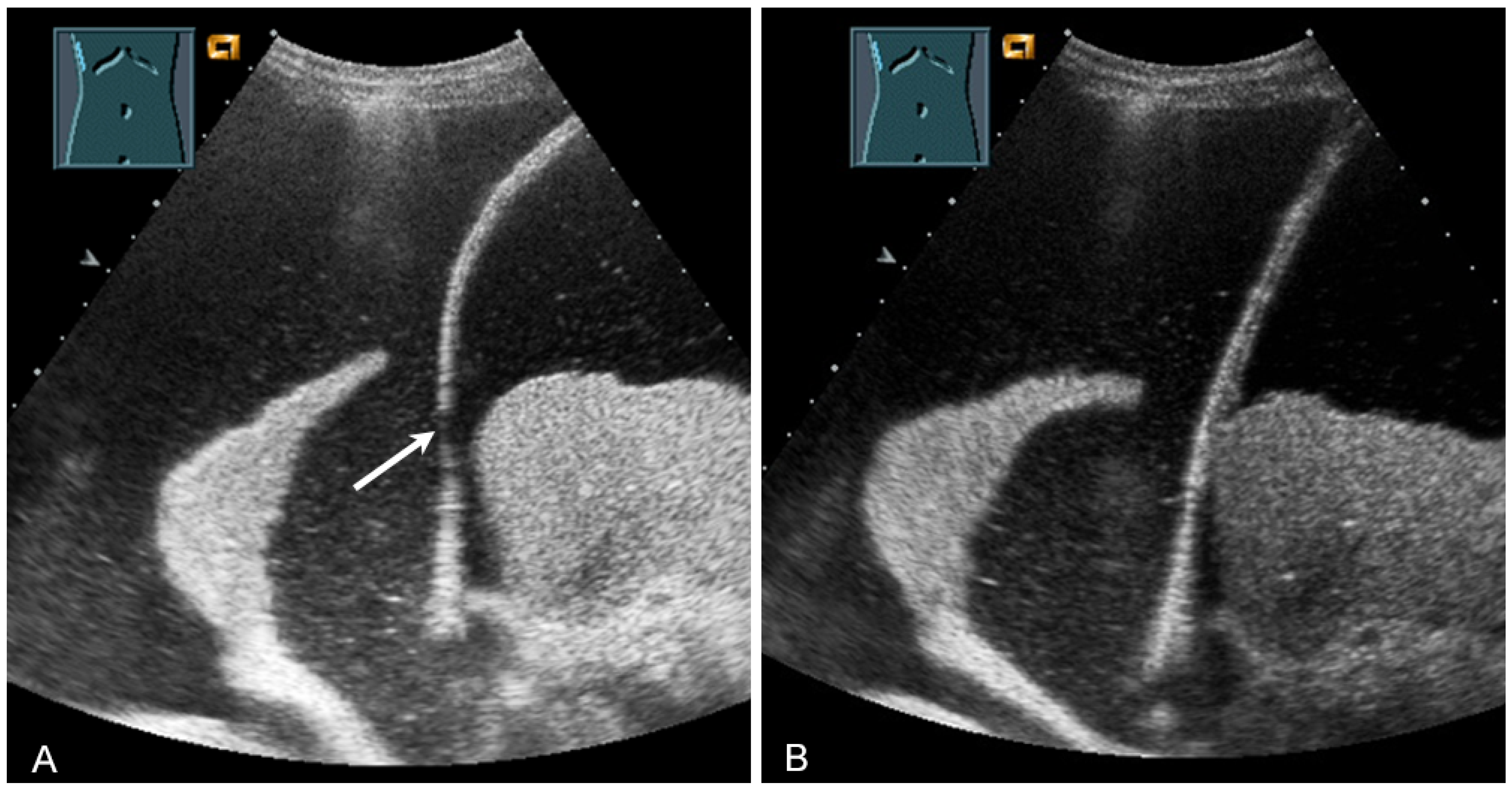 Diagnostics 13 00767 g030