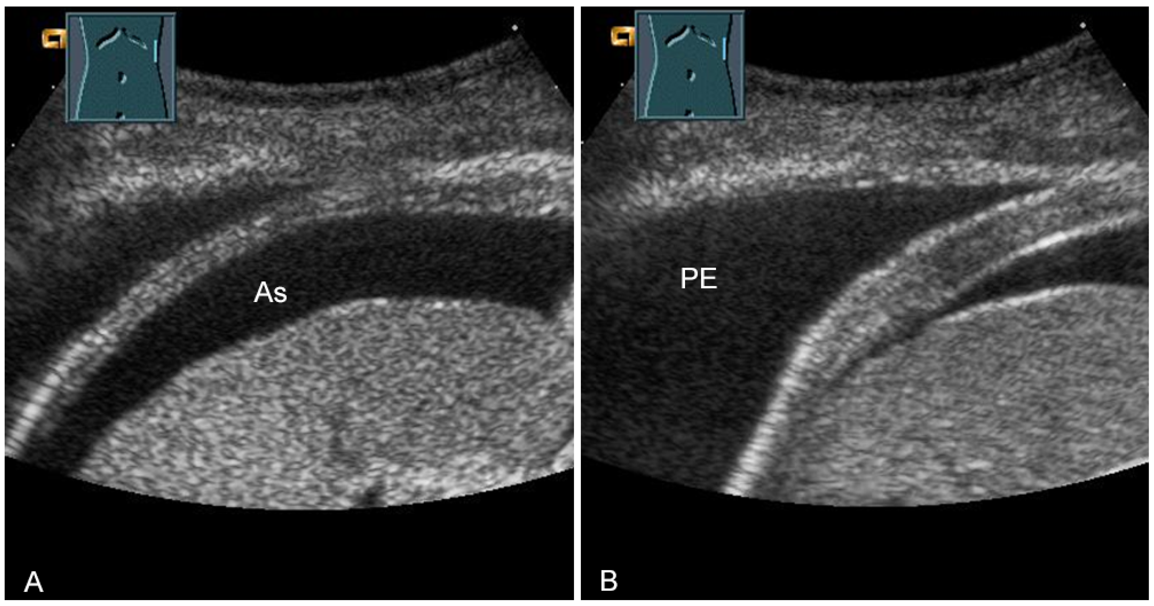 Diagnostics 13 00767 g031