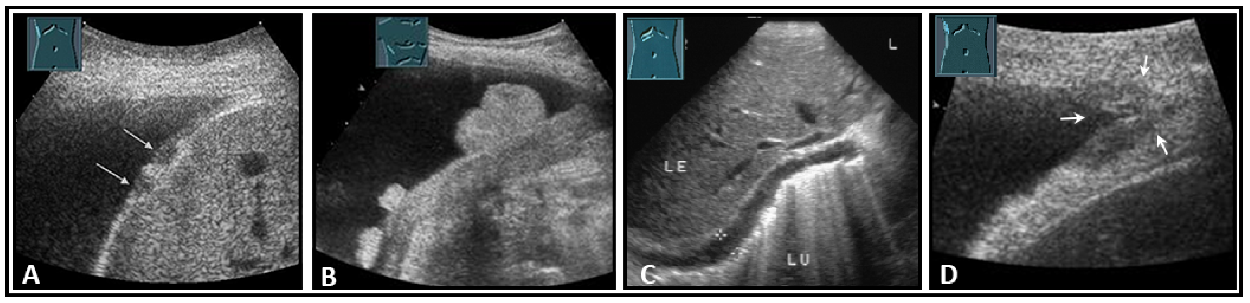 Diagnostics 13 00767 g034