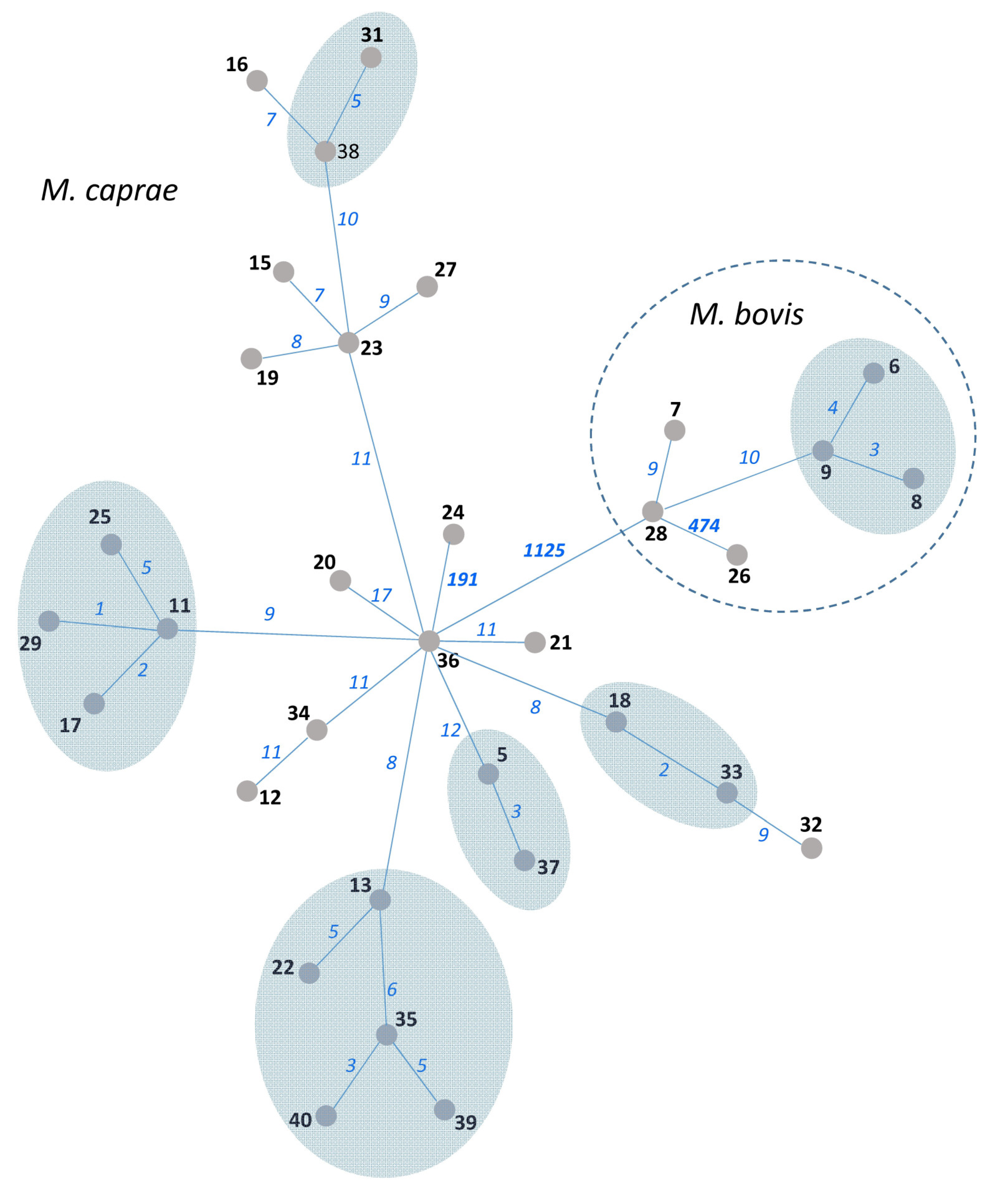 Diagnostics 13 00771 g002