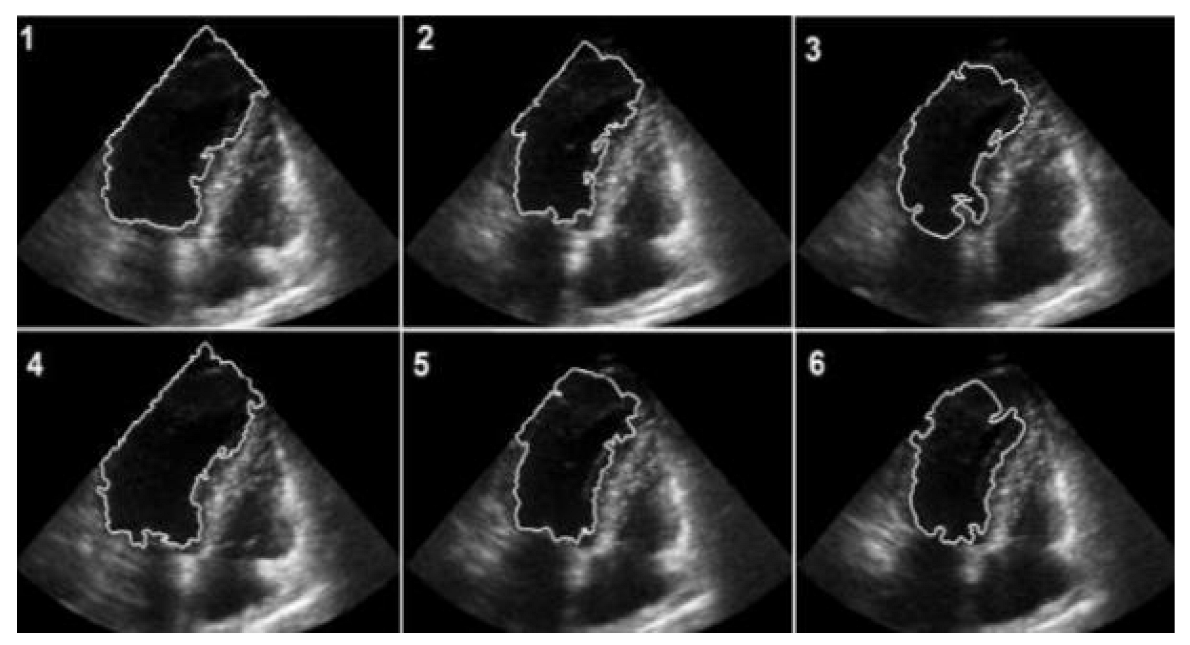 Diagnostics 13 00775 g006