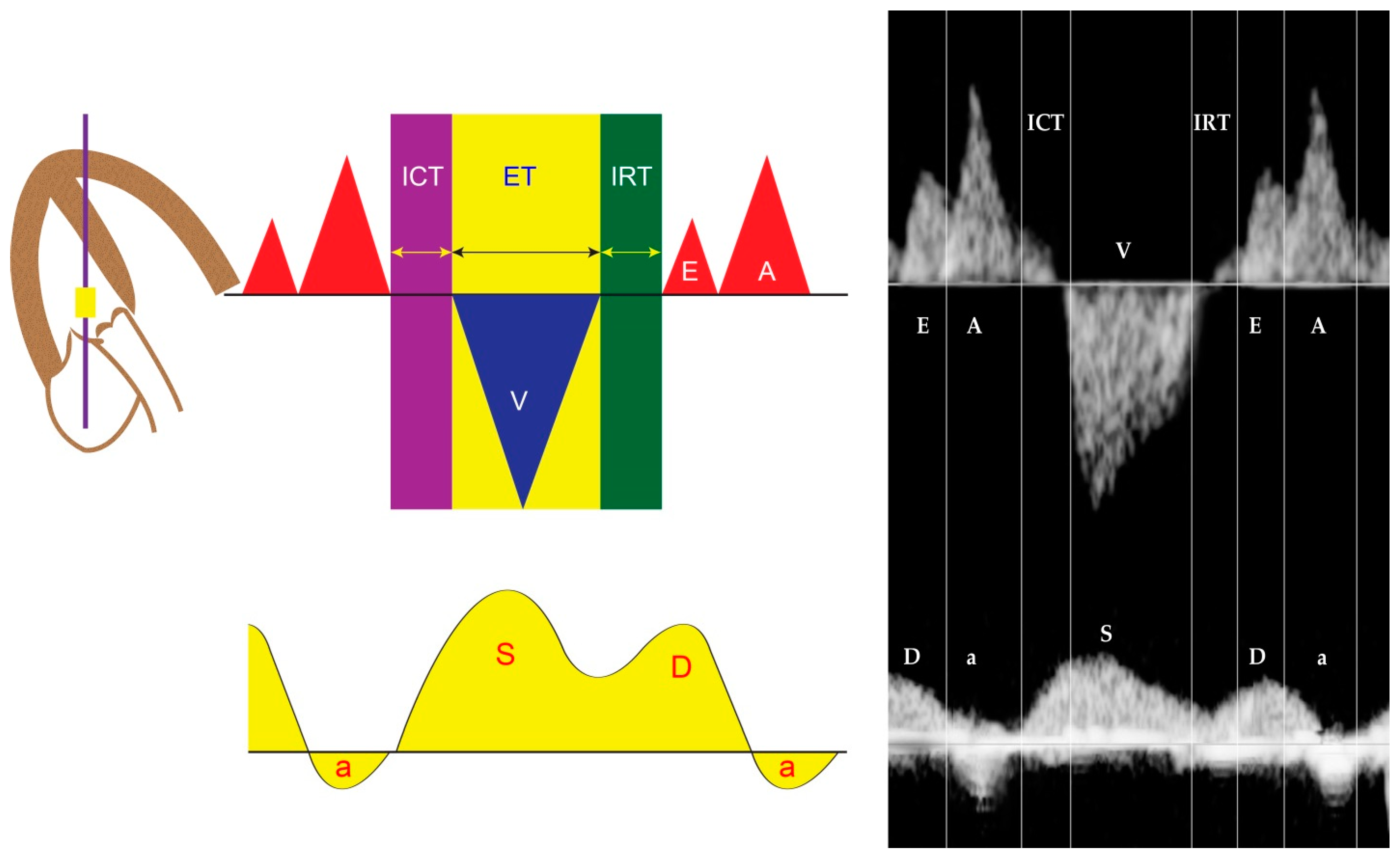 Diagnostics 13 00779 g001