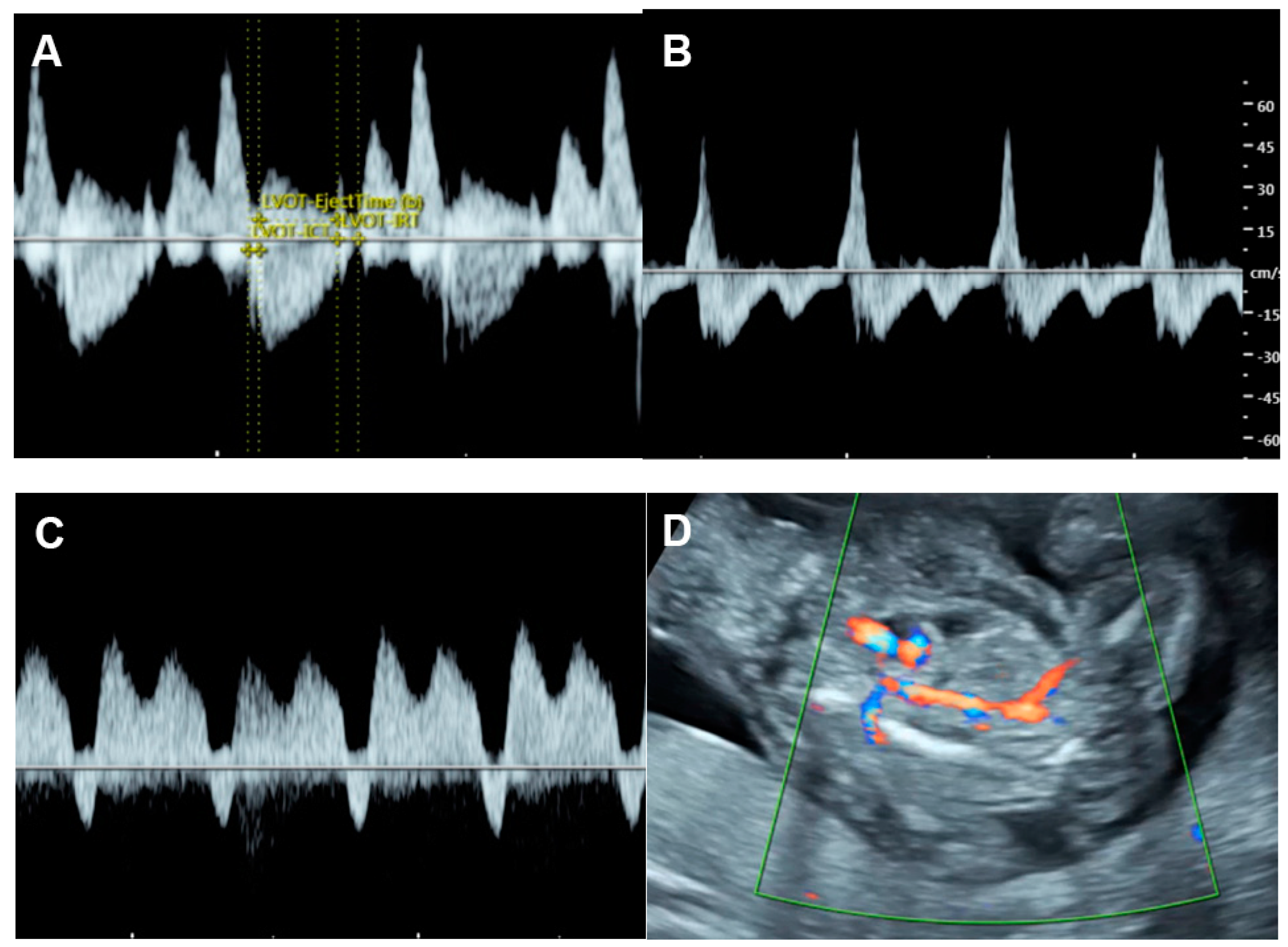 Diagnostics 13 00779 g005