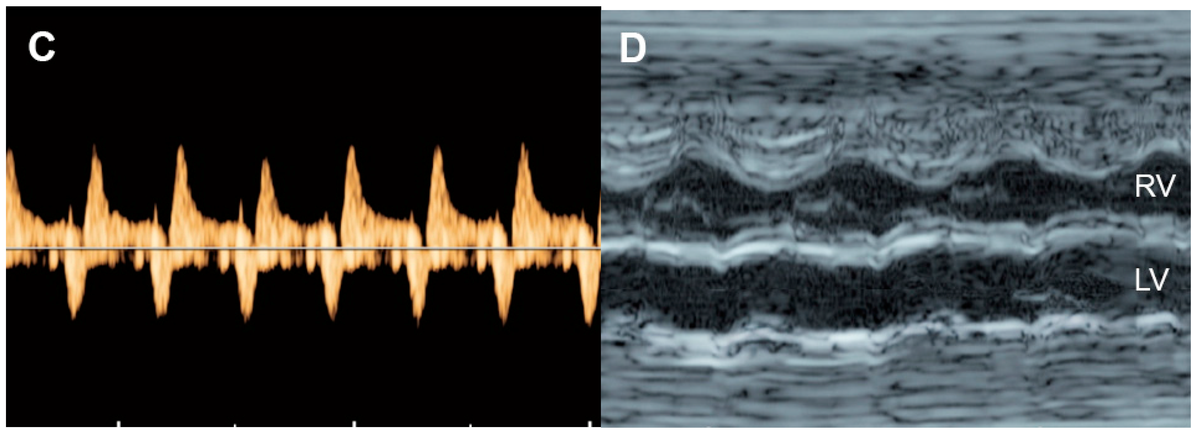 Diagnostics 13 00779 g008b
