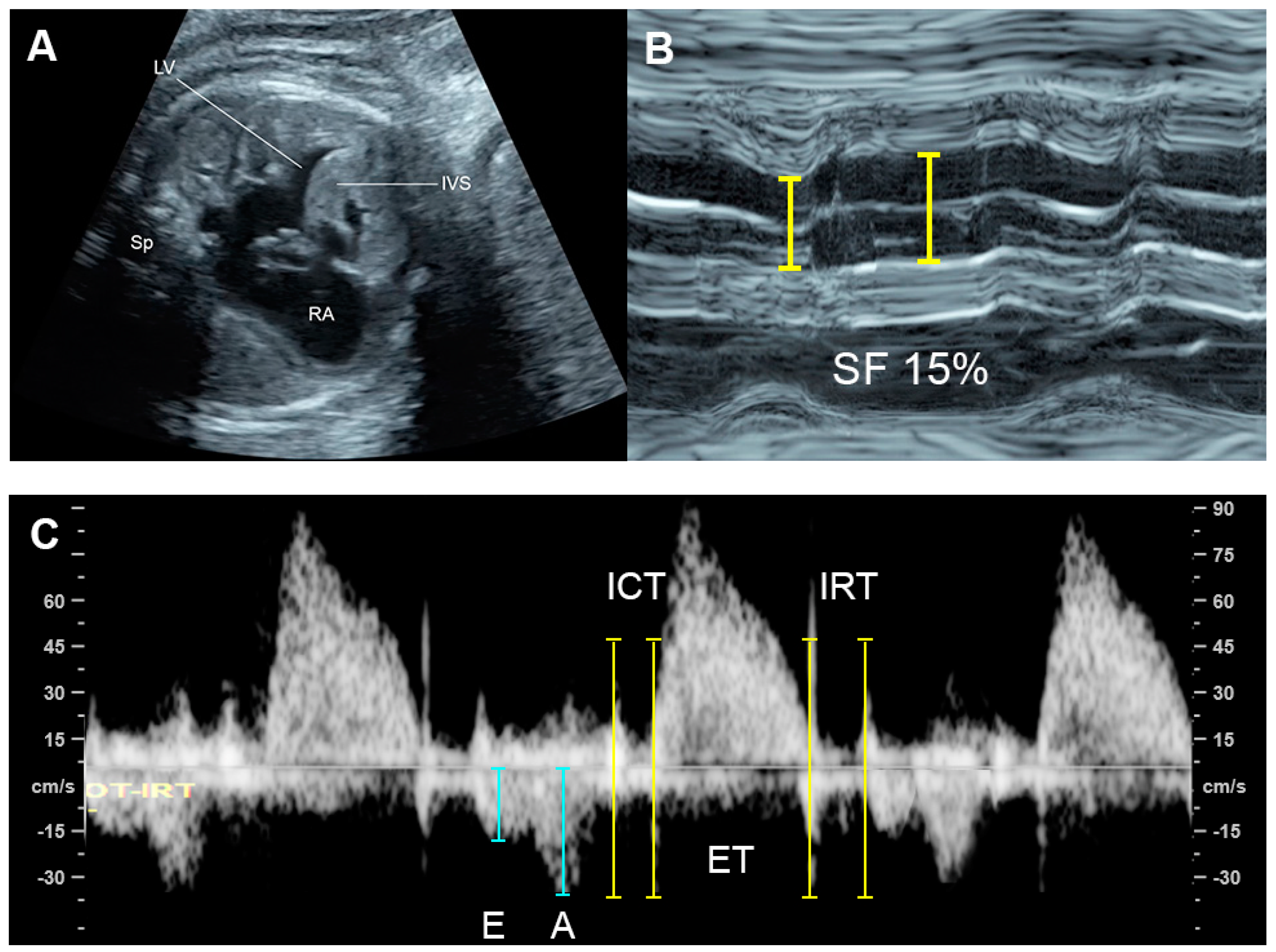 Diagnostics 13 00779 g009