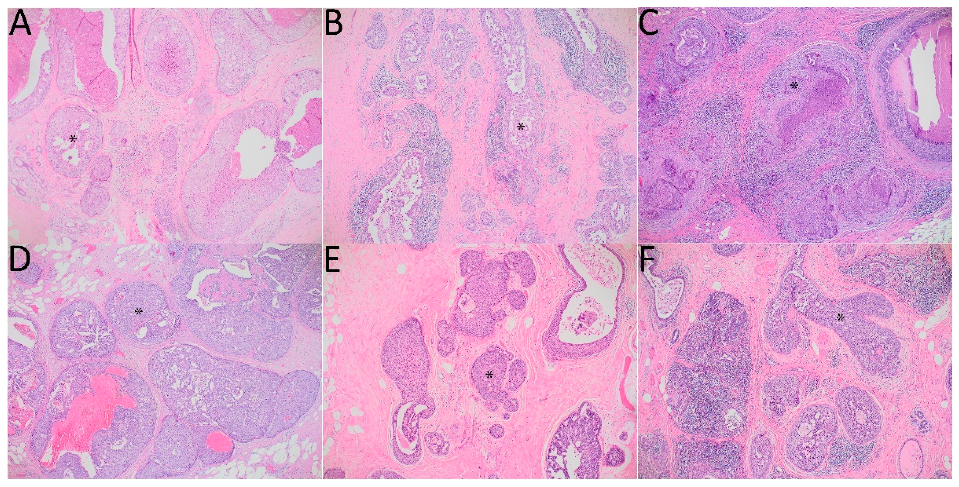 Diagnostics 13 00787 g001