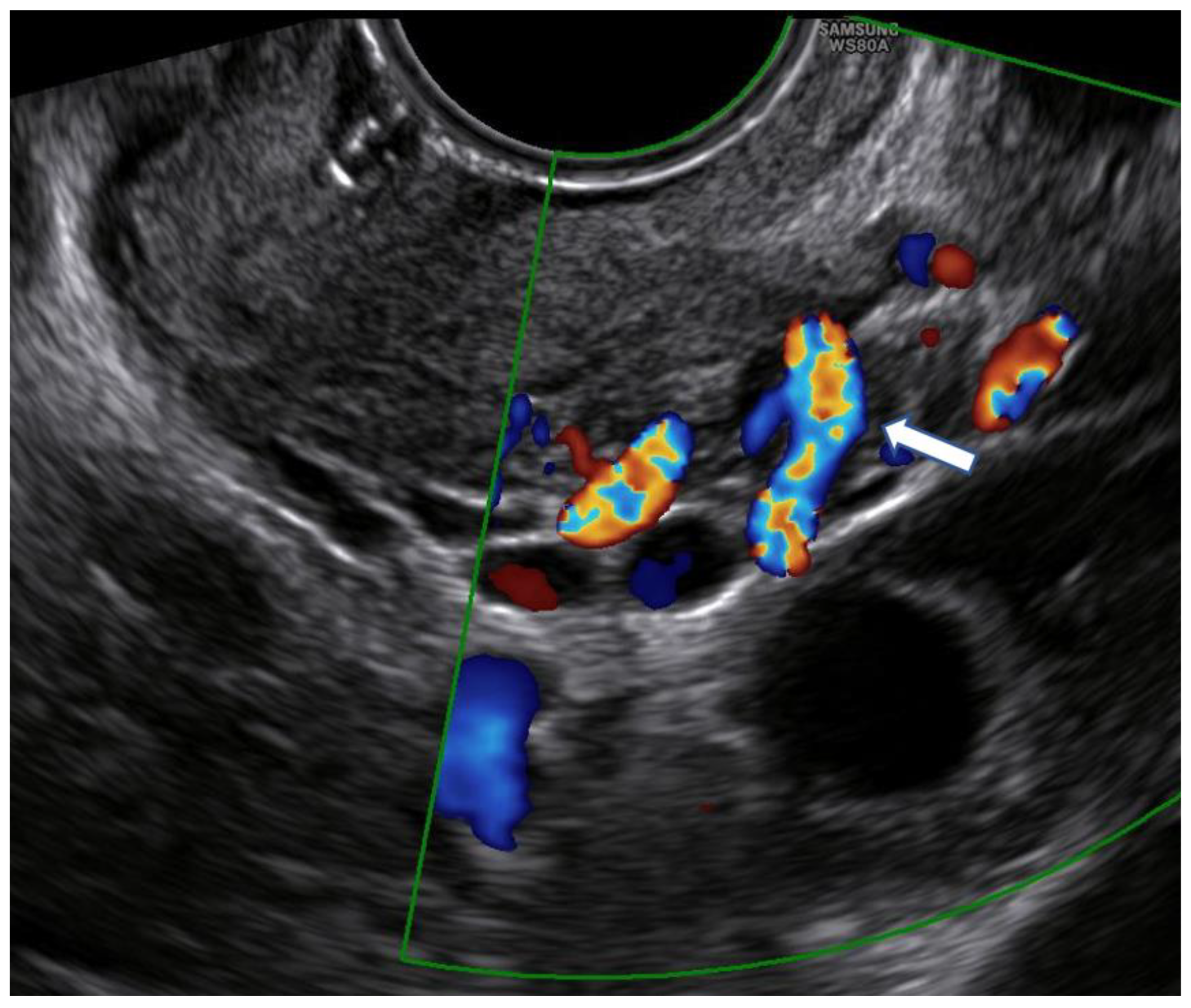 Diagnostics 13 00791 g001 Diagnostics 13 00791 g001