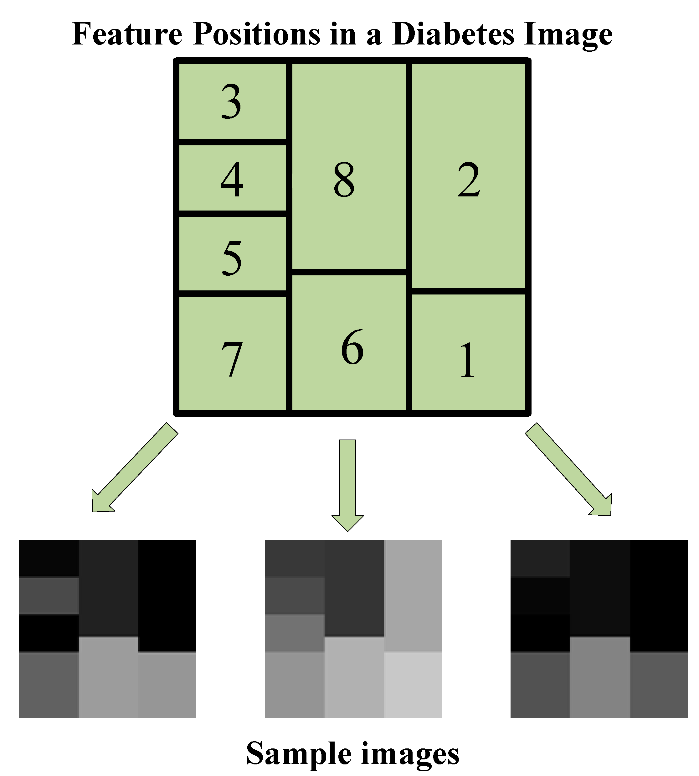 Diagnostics 13 00796 g004