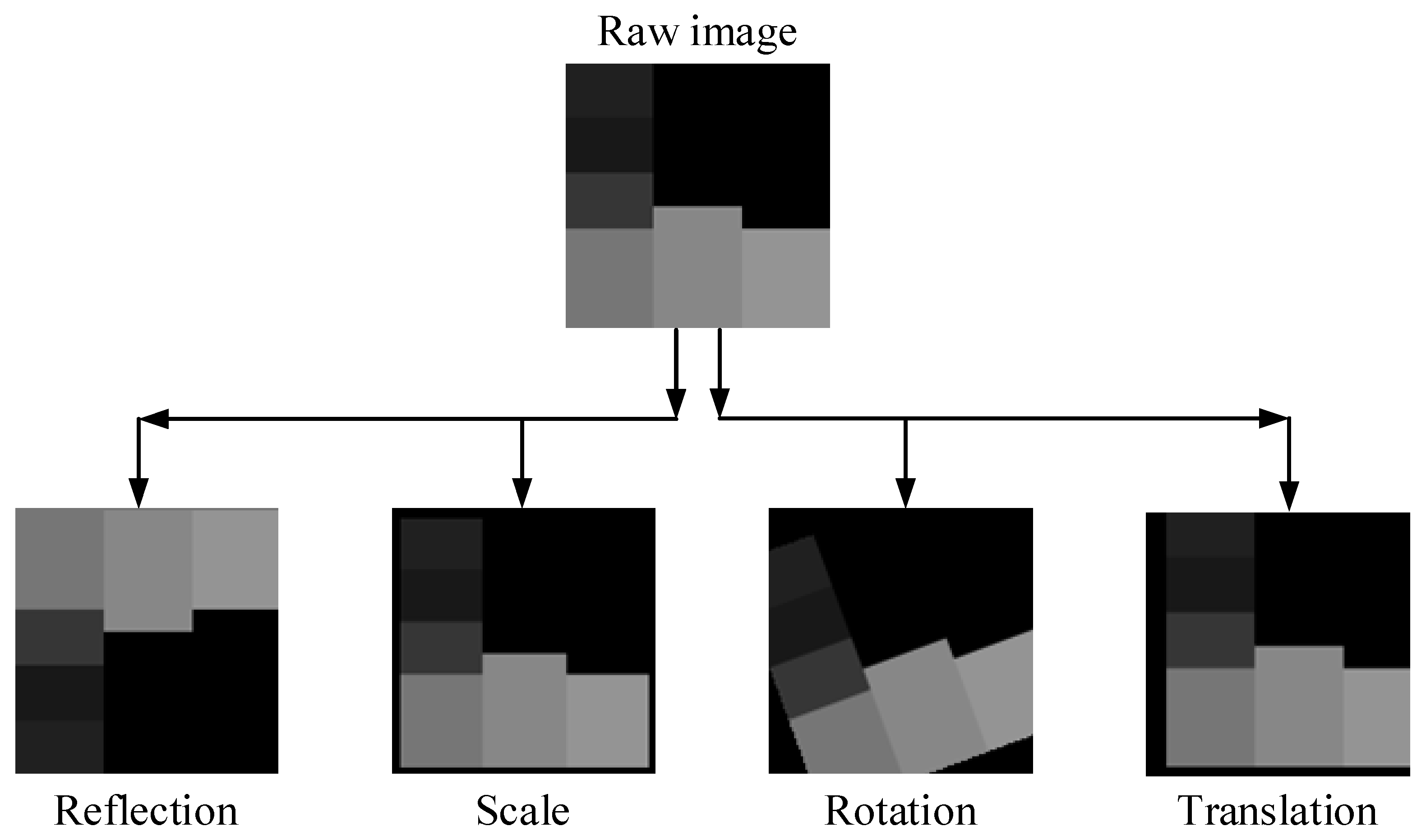 Diagnostics 13 00796 g005