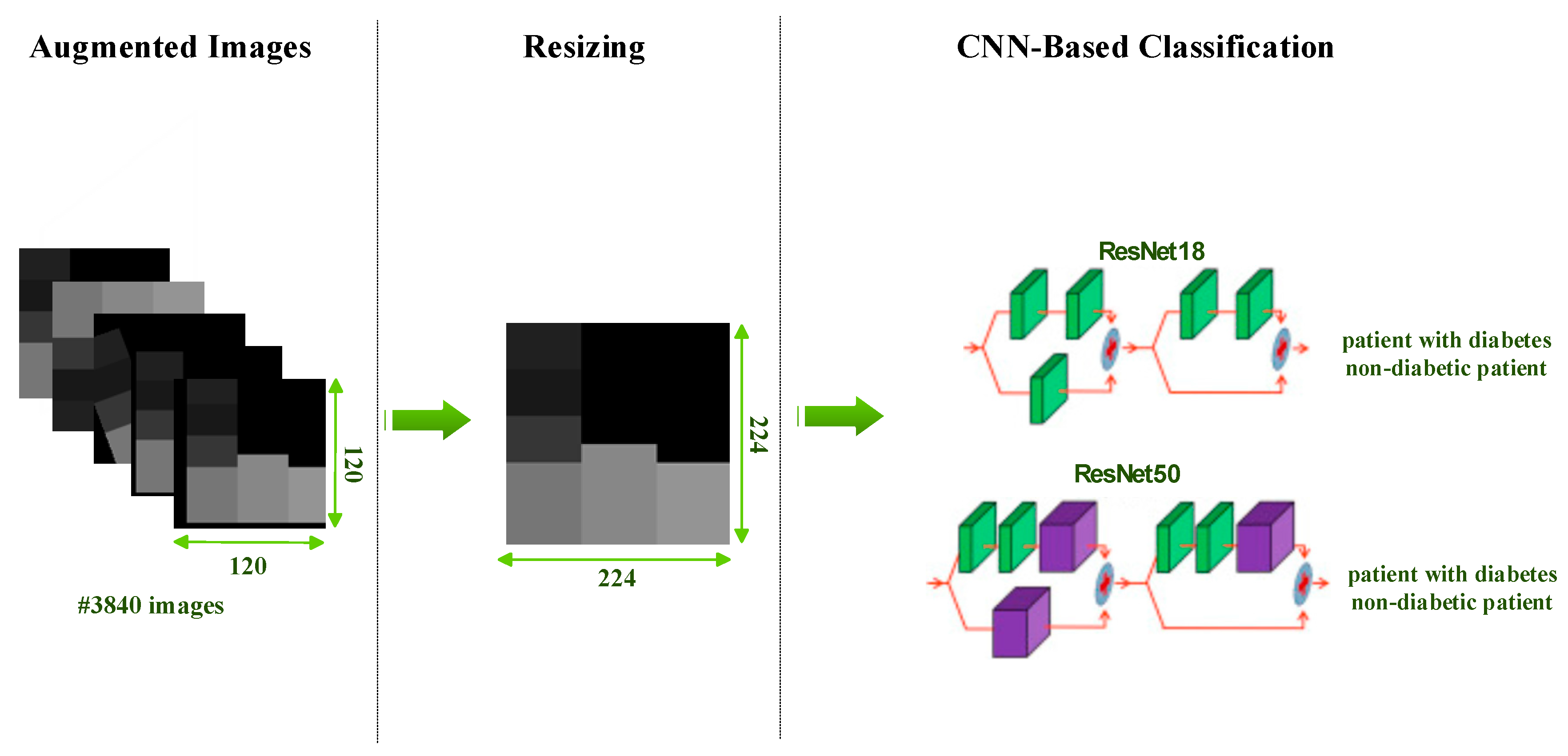 Diagnostics 13 00796 g006