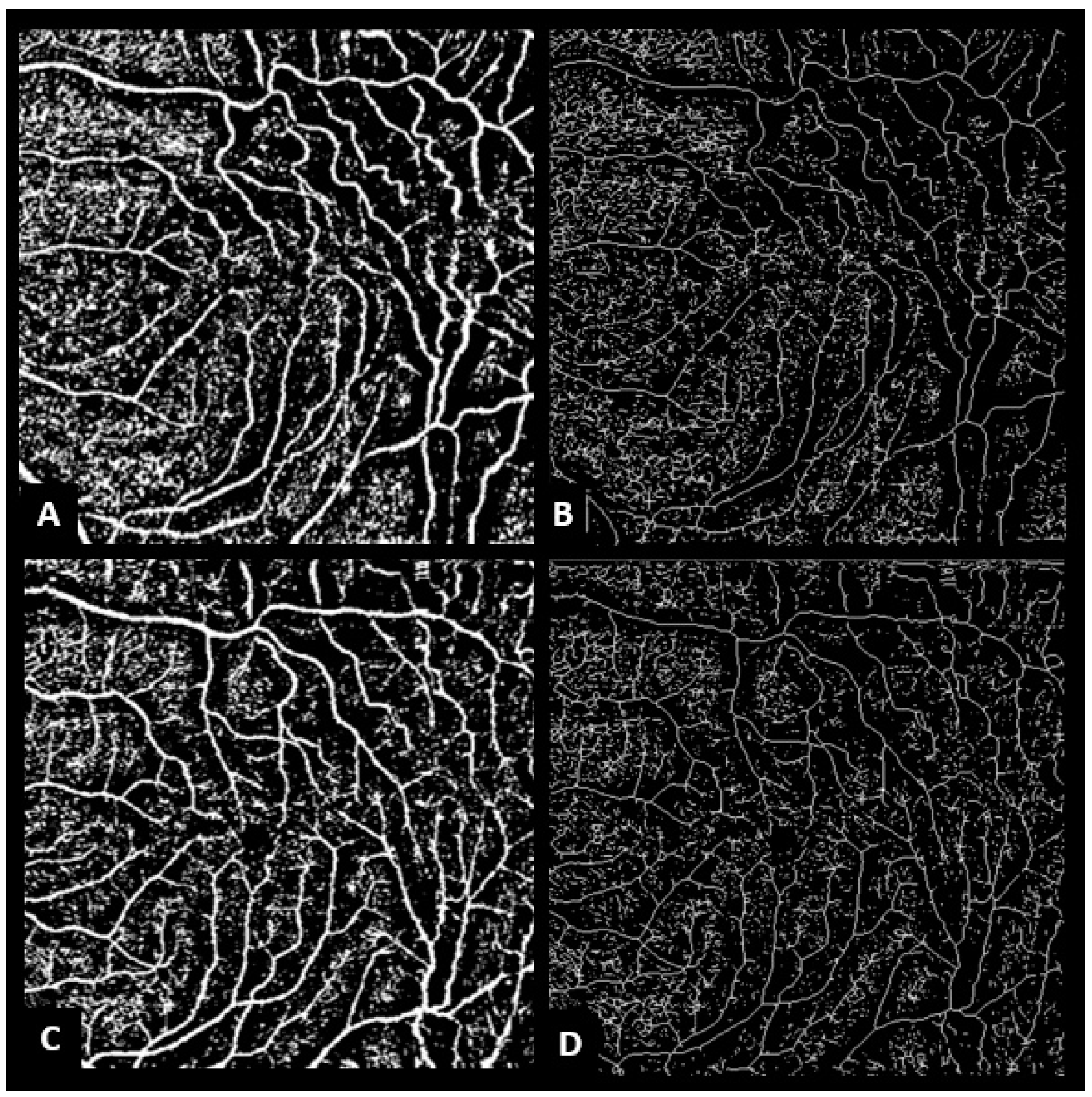 Diagnostics 13 00797 g001