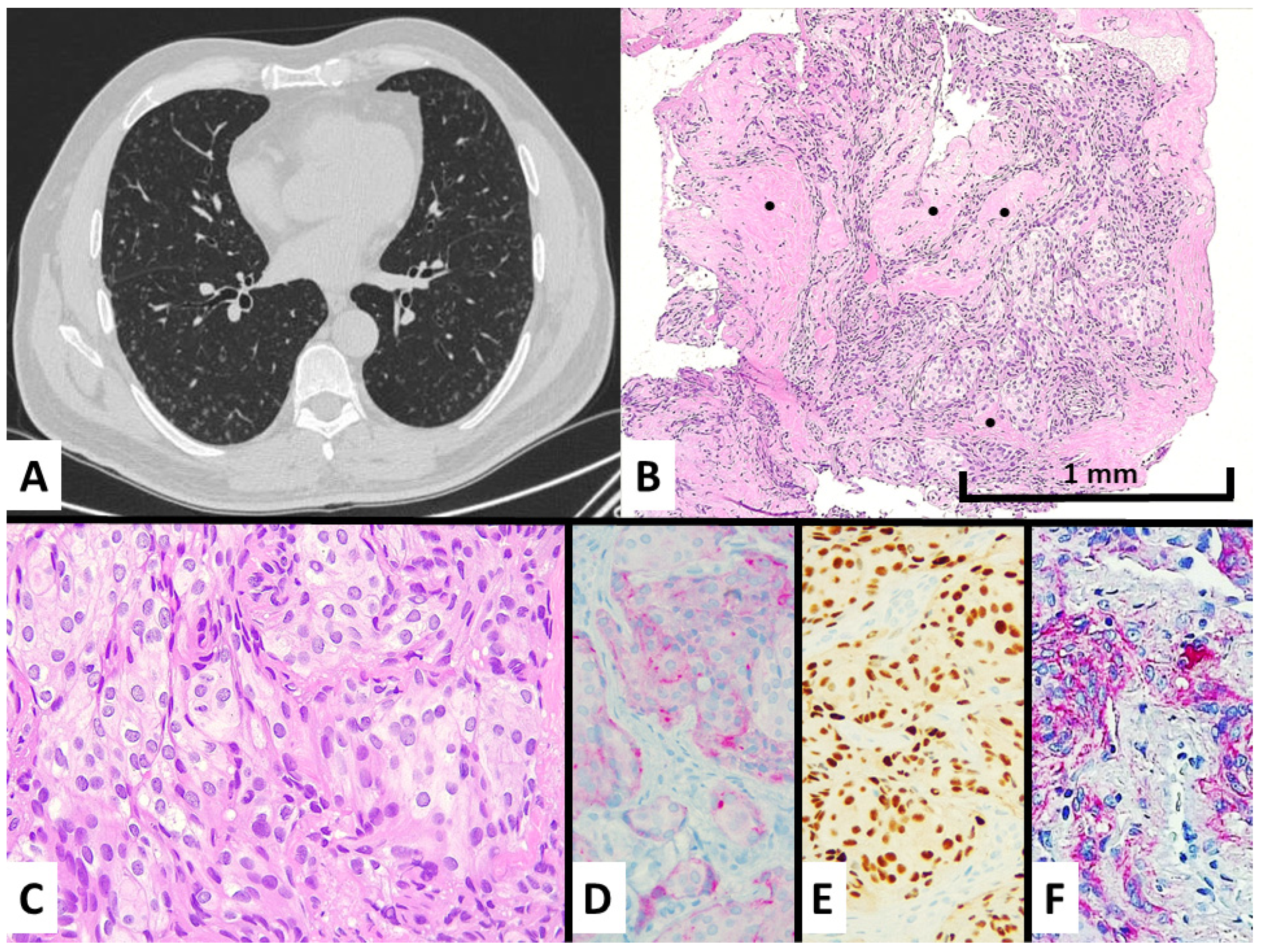 Diagnostics 13 00802 g001