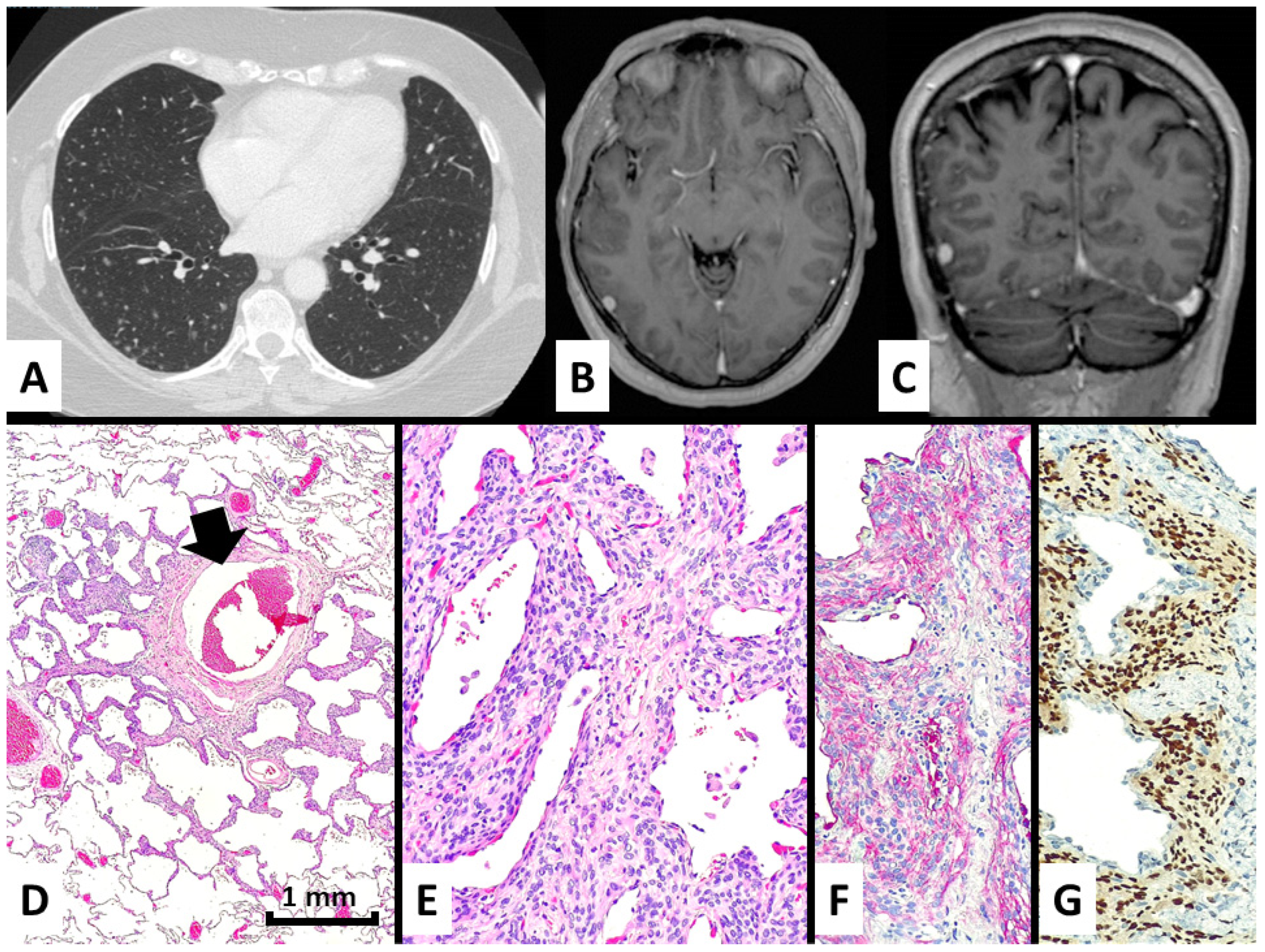 Diagnostics 13 00802 g002