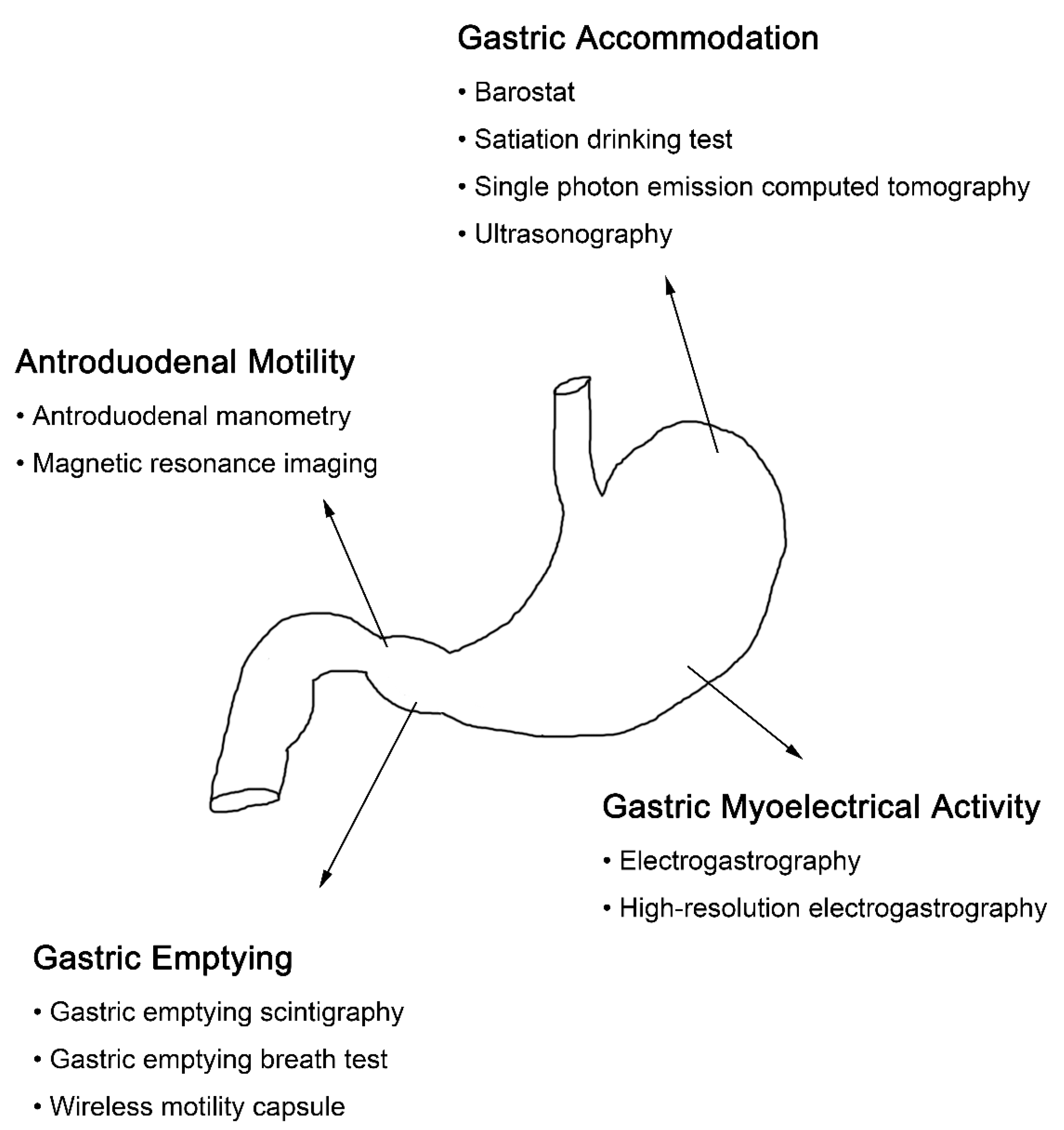Diagnostics 13 00803 g002
