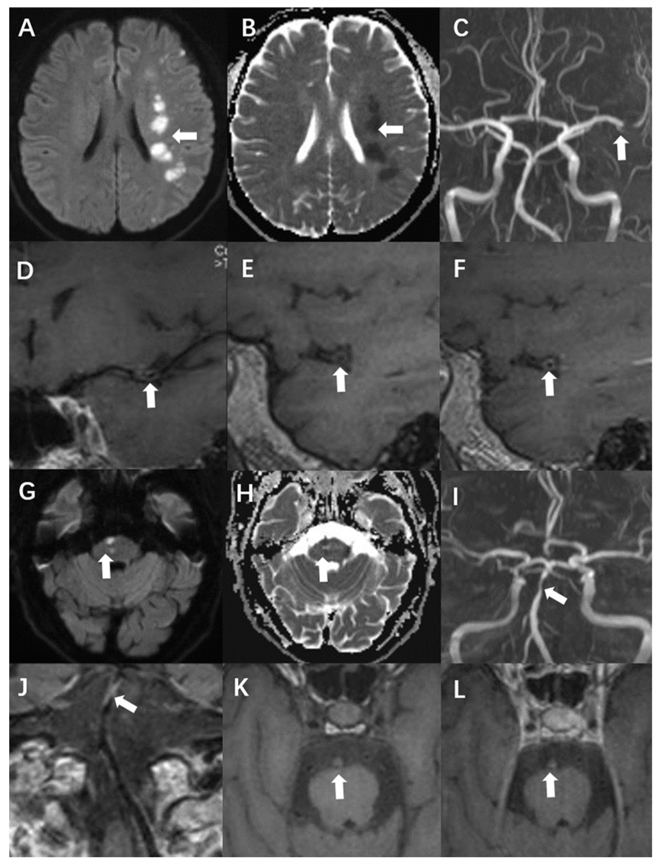 Diagnostics 13 00804 g002