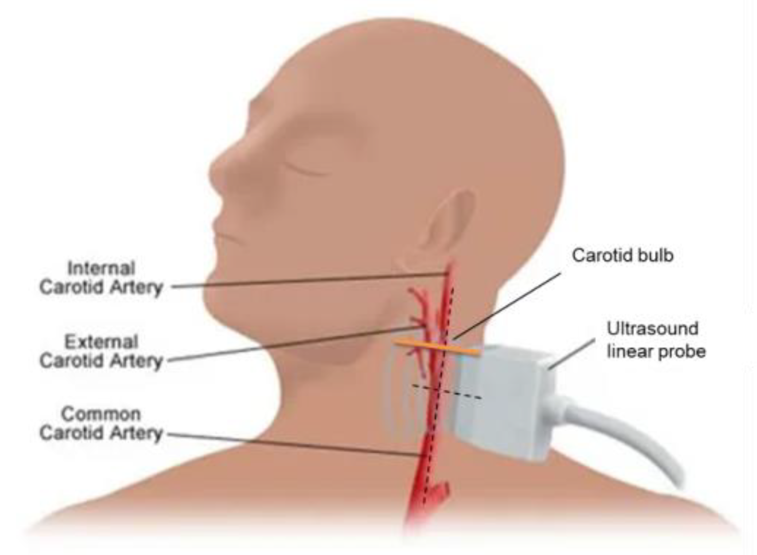 Diagnostics 13 00805 g001