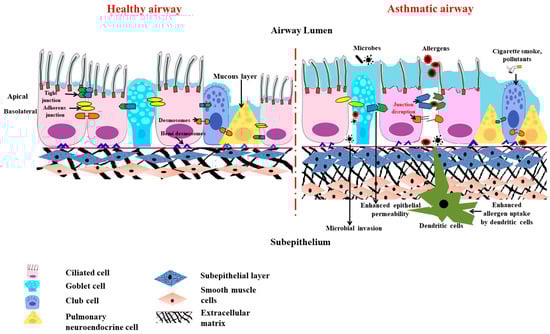 Diagnostics 13 00808 g002
