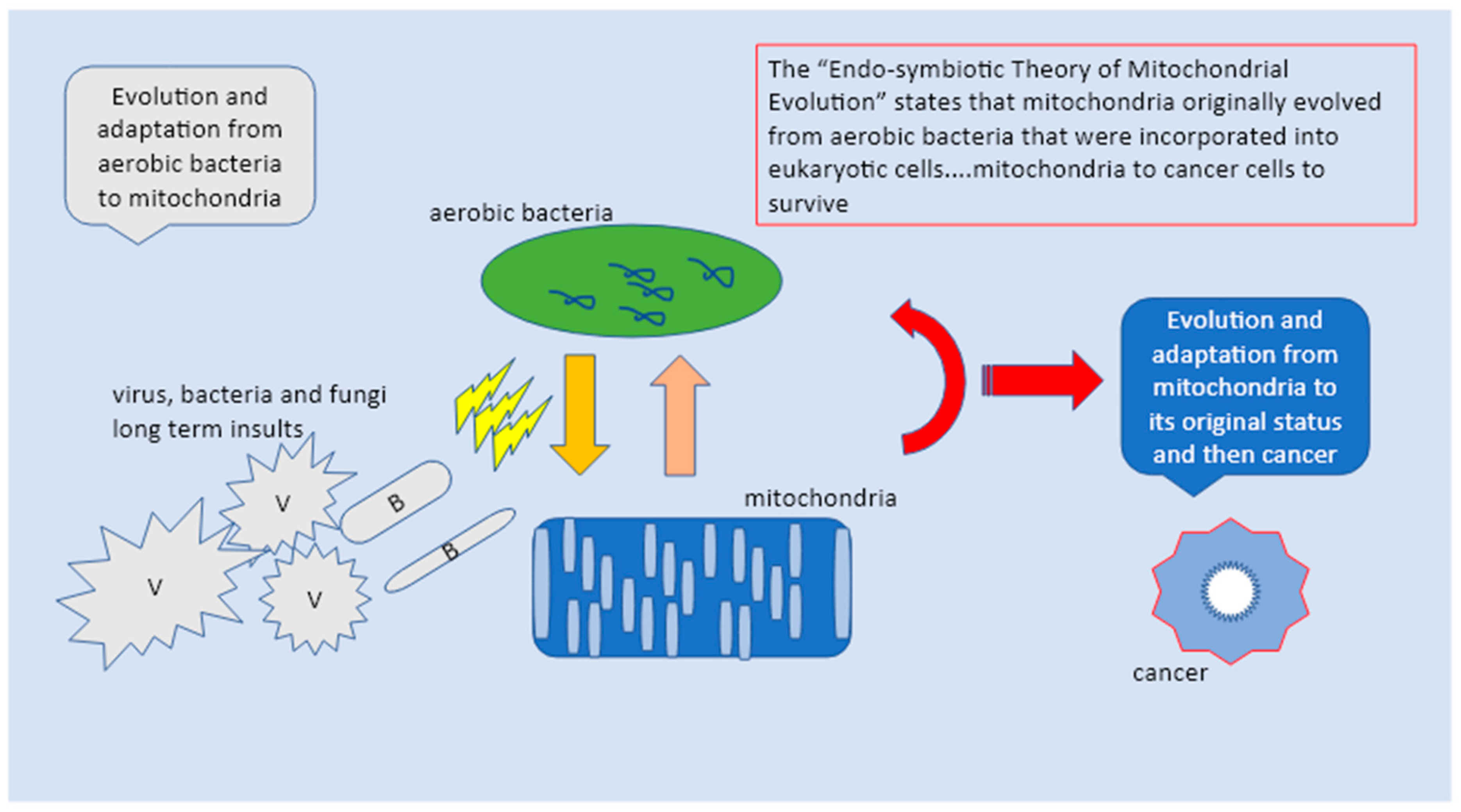 Diagnostics 13 00813 g002