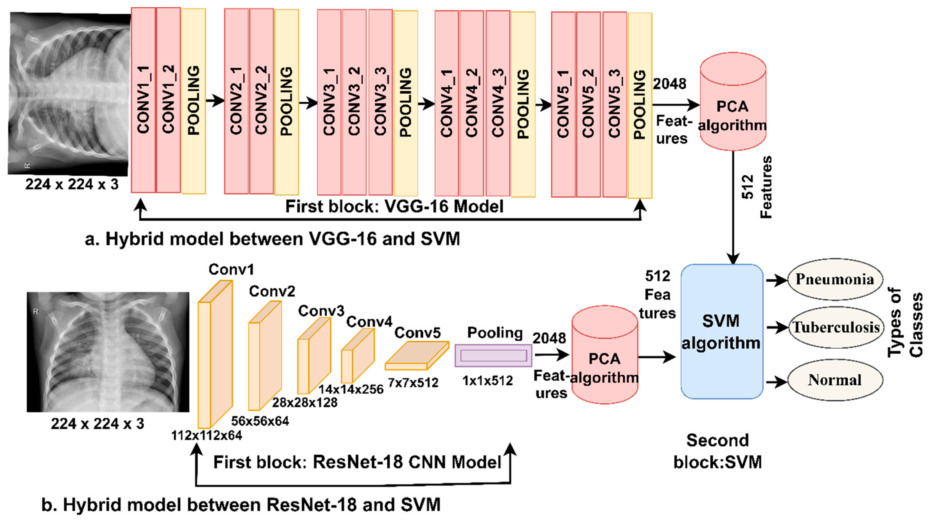 Diagnostics 13 00814 g003