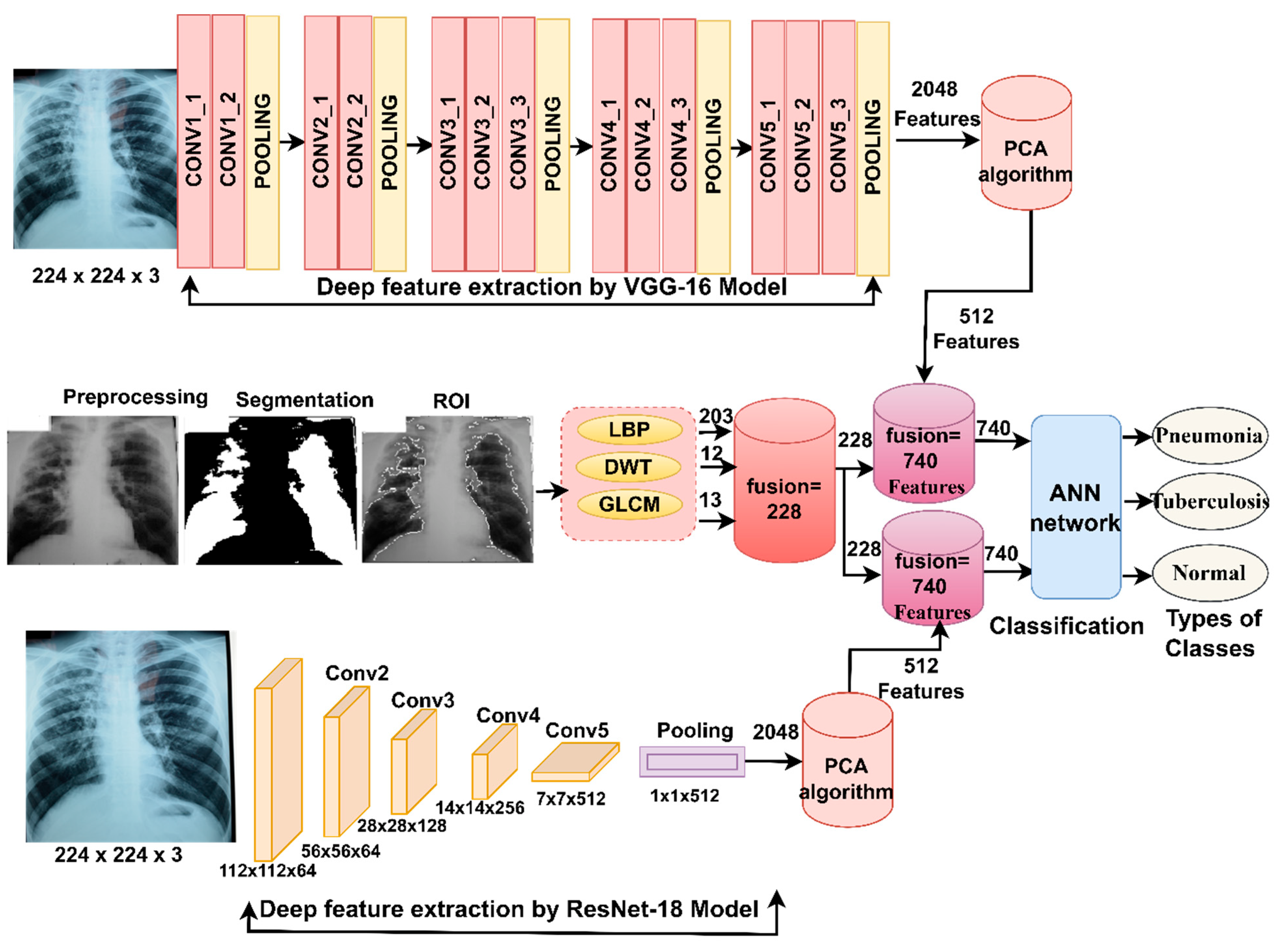 Diagnostics 13 00814 g005