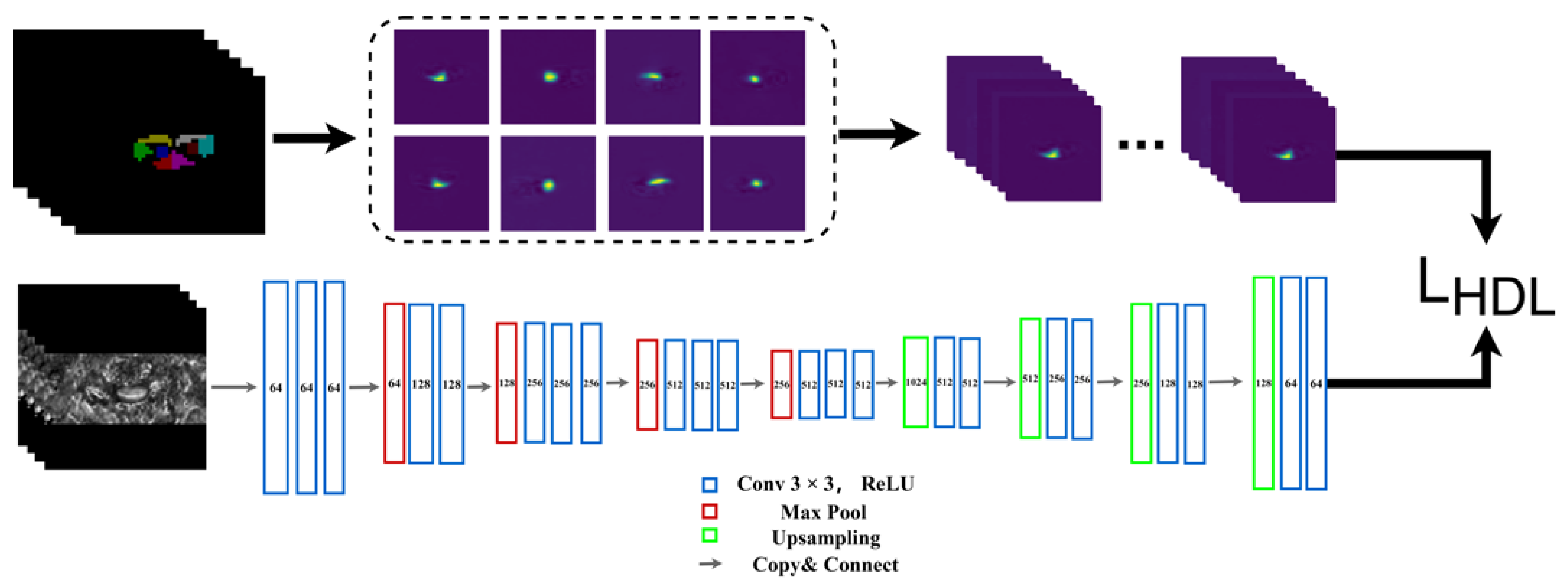 Diagnostics 13 00817 g002