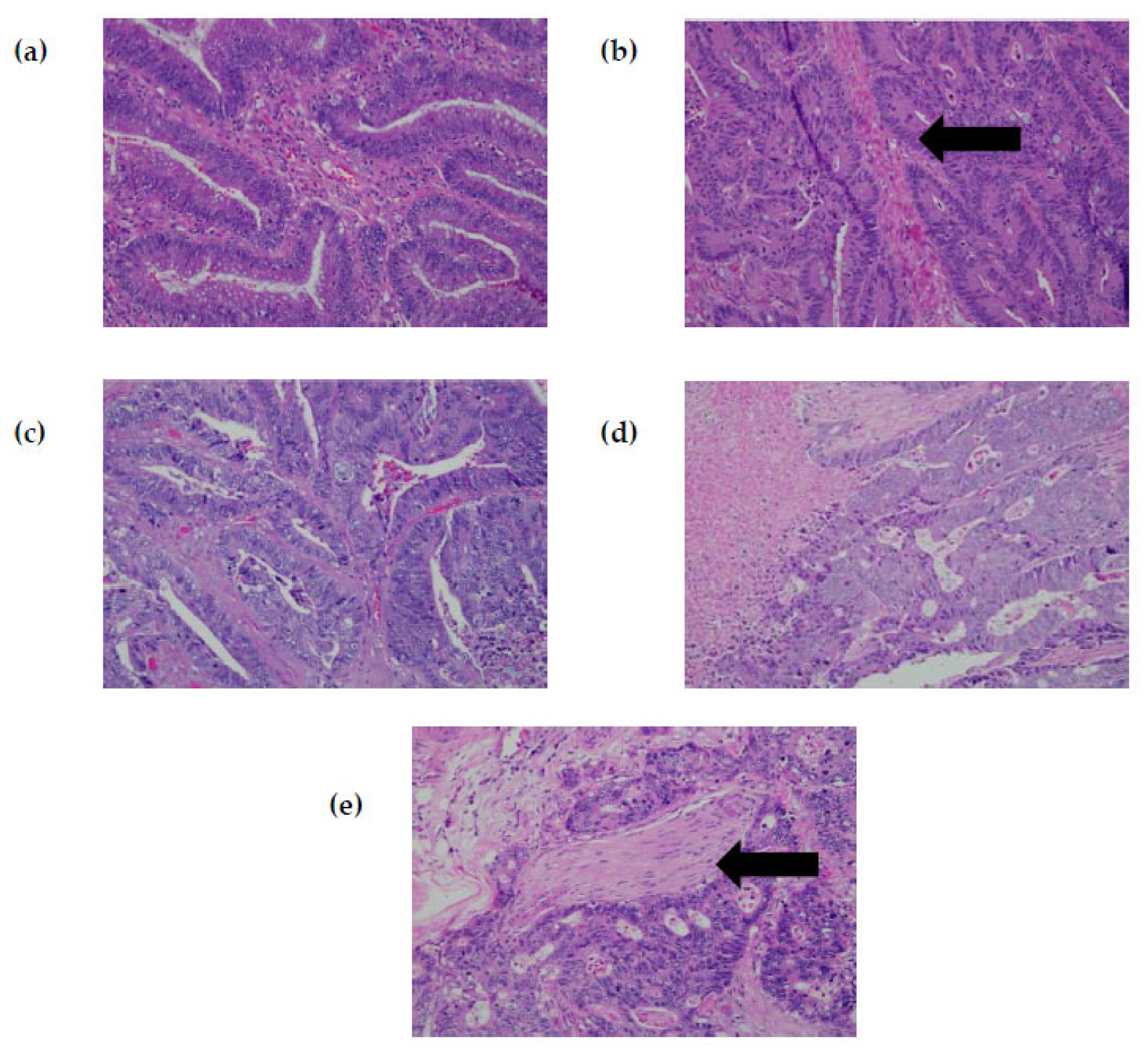 Diagnostics 13 00822 g002
