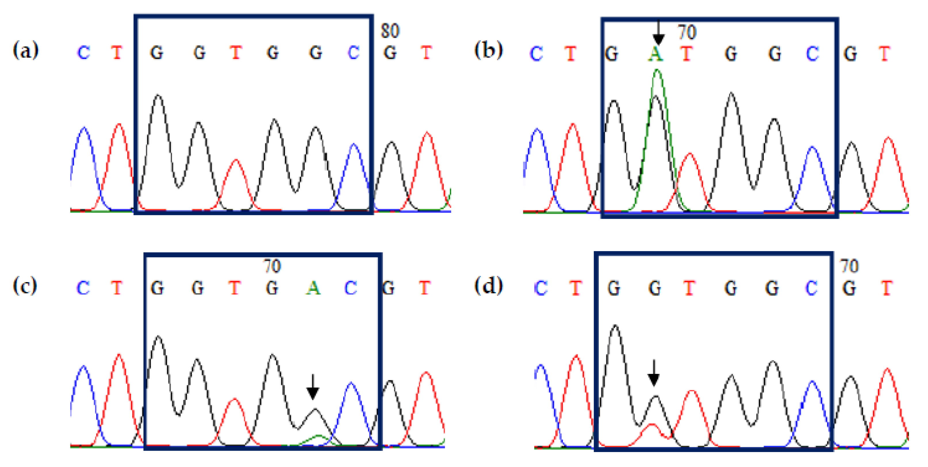 Diagnostics 13 00822 g003