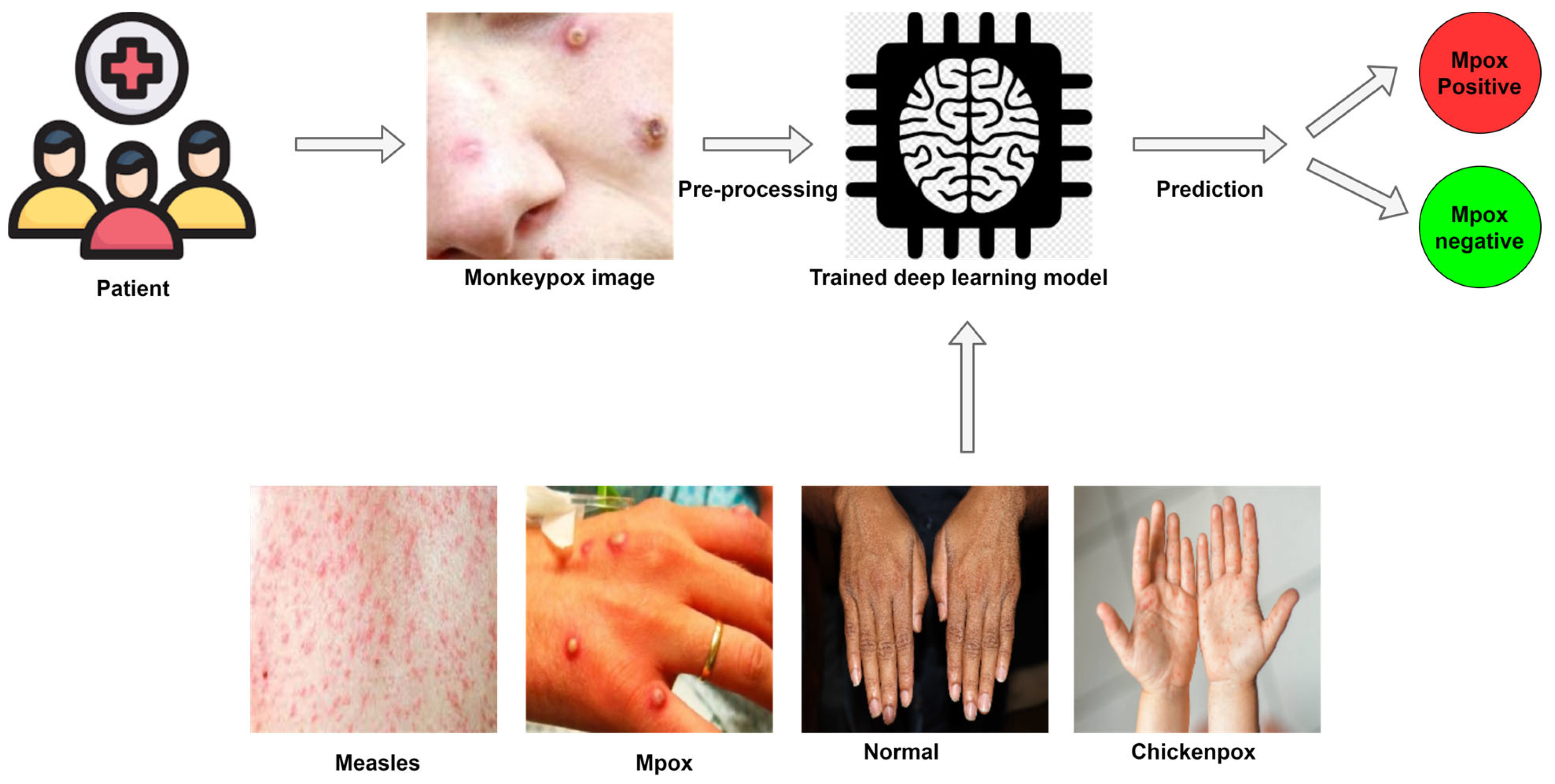 Diagnostics 13 00824 g006