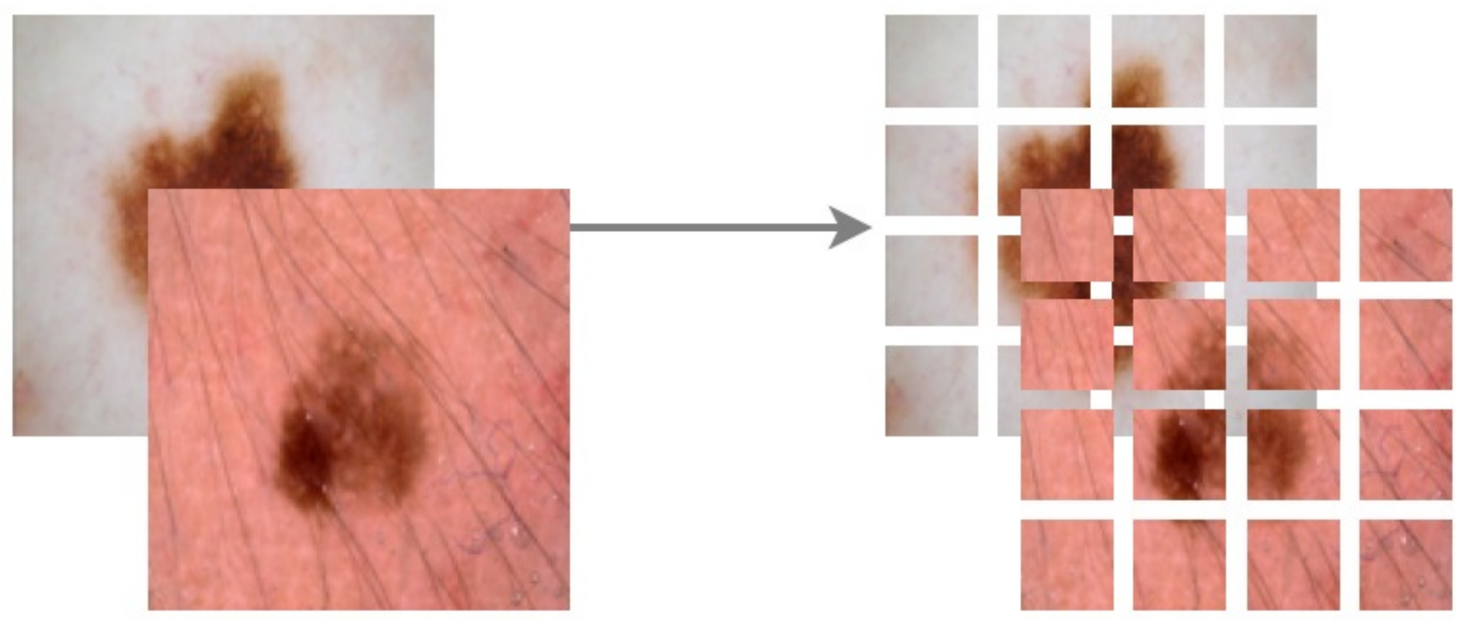 Diagnostics 13 00825 g013