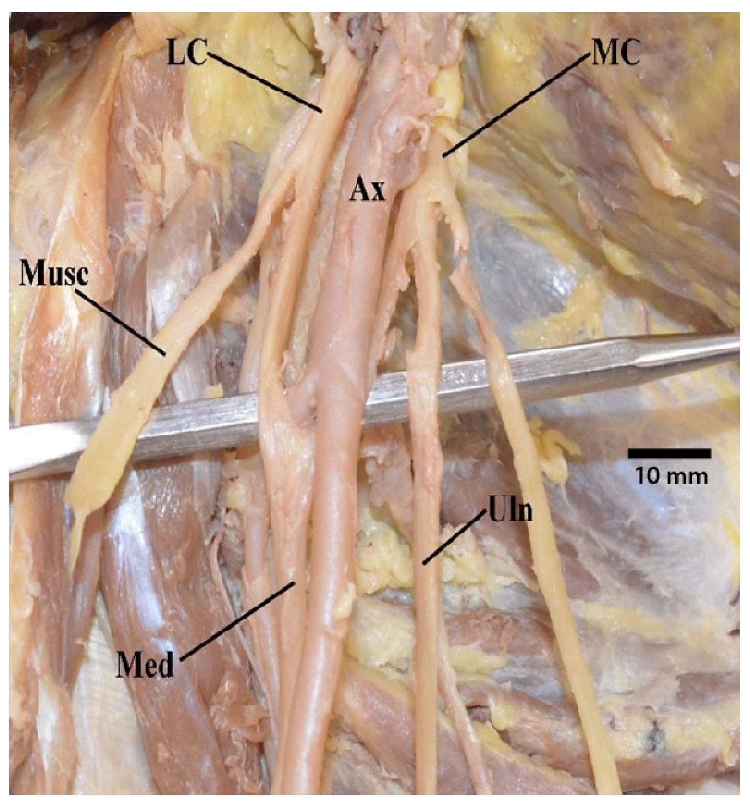 Diagnostics 13 00830 g001 Diagnostics 13 00830 g001