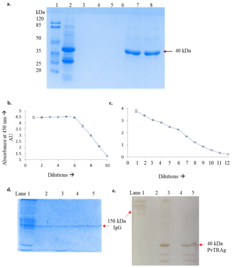 Diagnostics 13 00835 g001