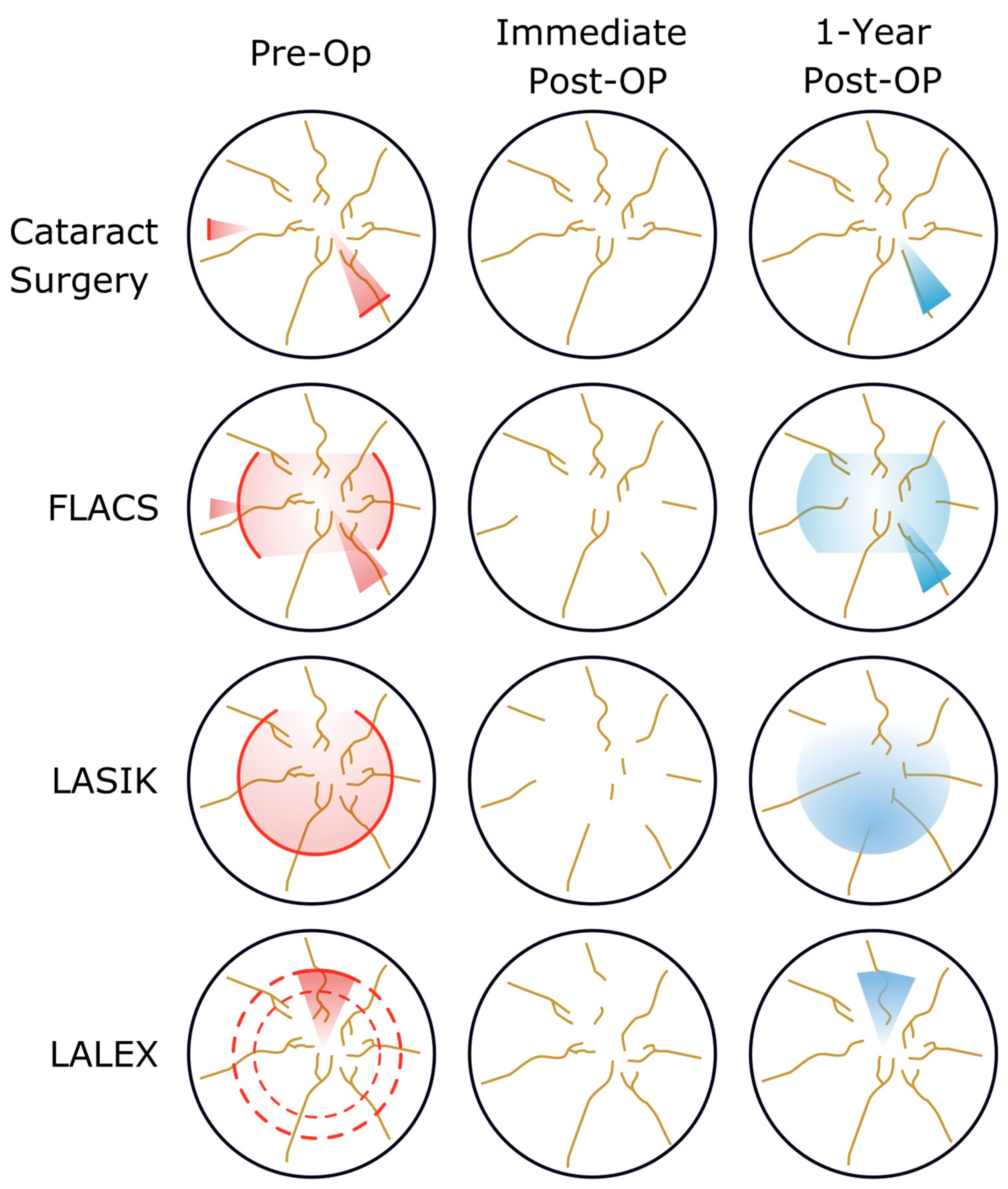 Diagnostics 13 00837 g001