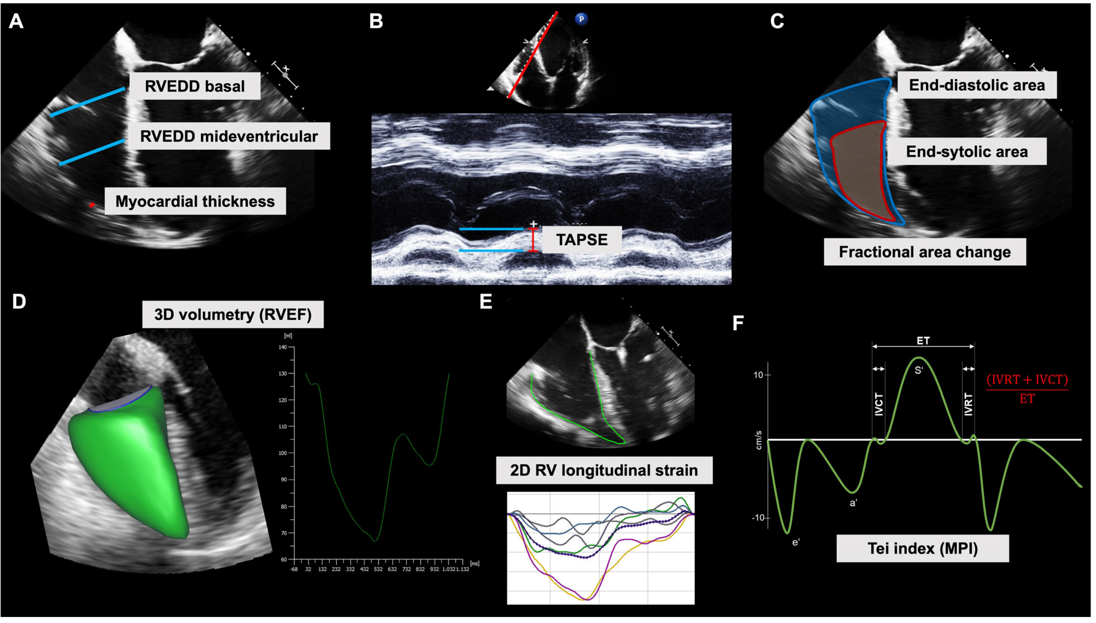 Diagnostics 13 00839 g003 Diagnostics 13 00839 g003