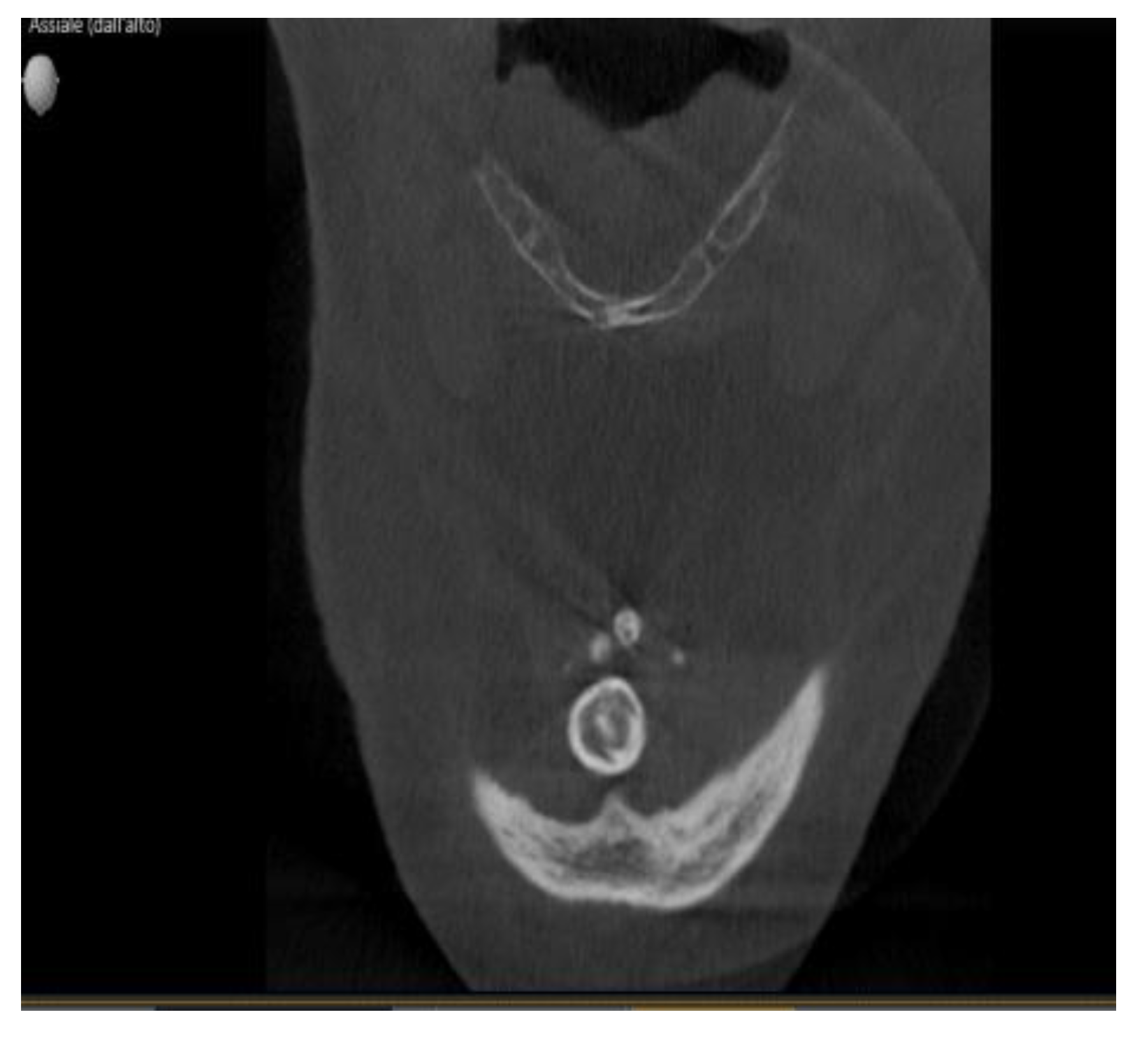 Diagnostics 13 00840 g003