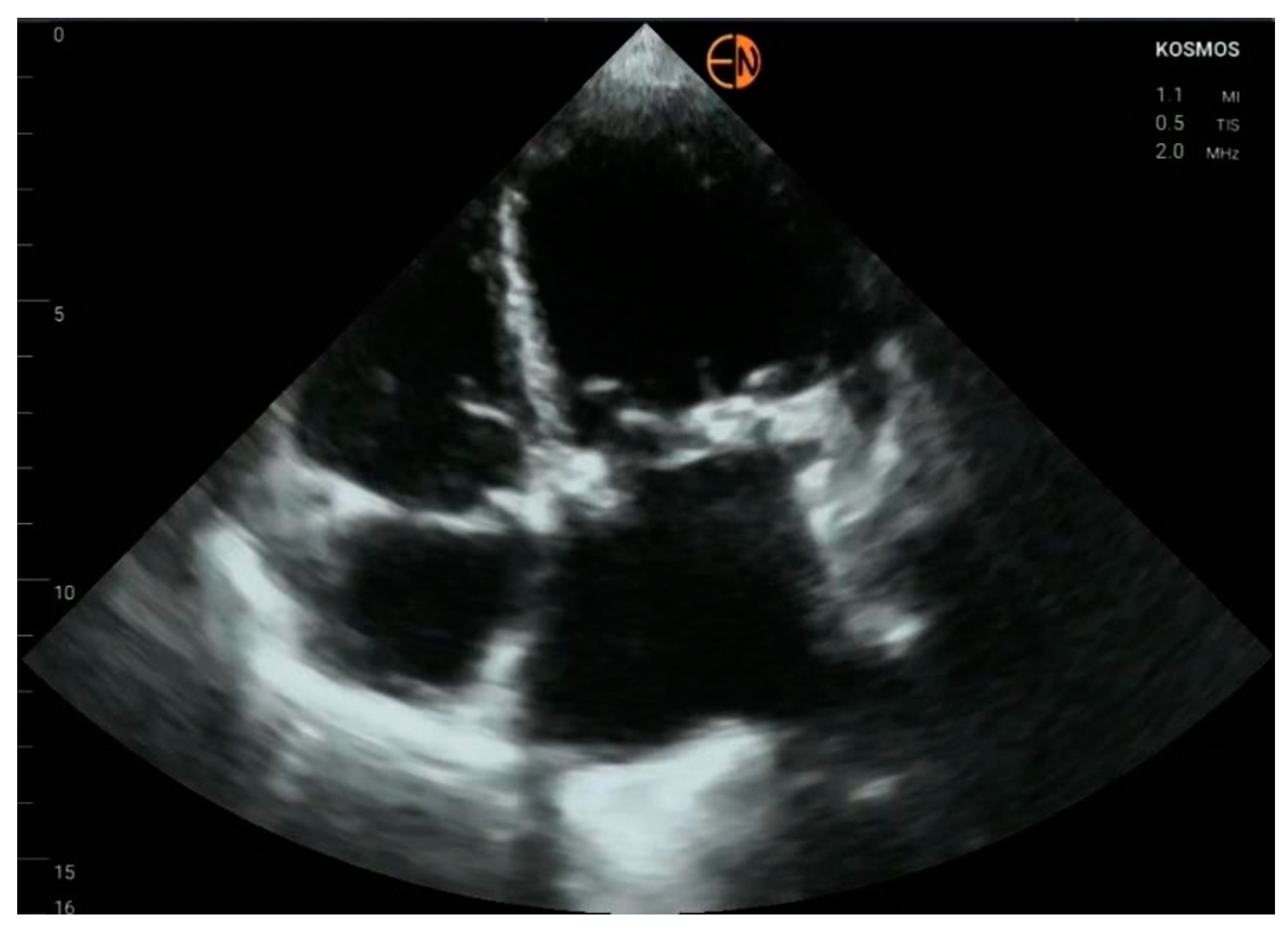 Diagnostics 13 00853 g010