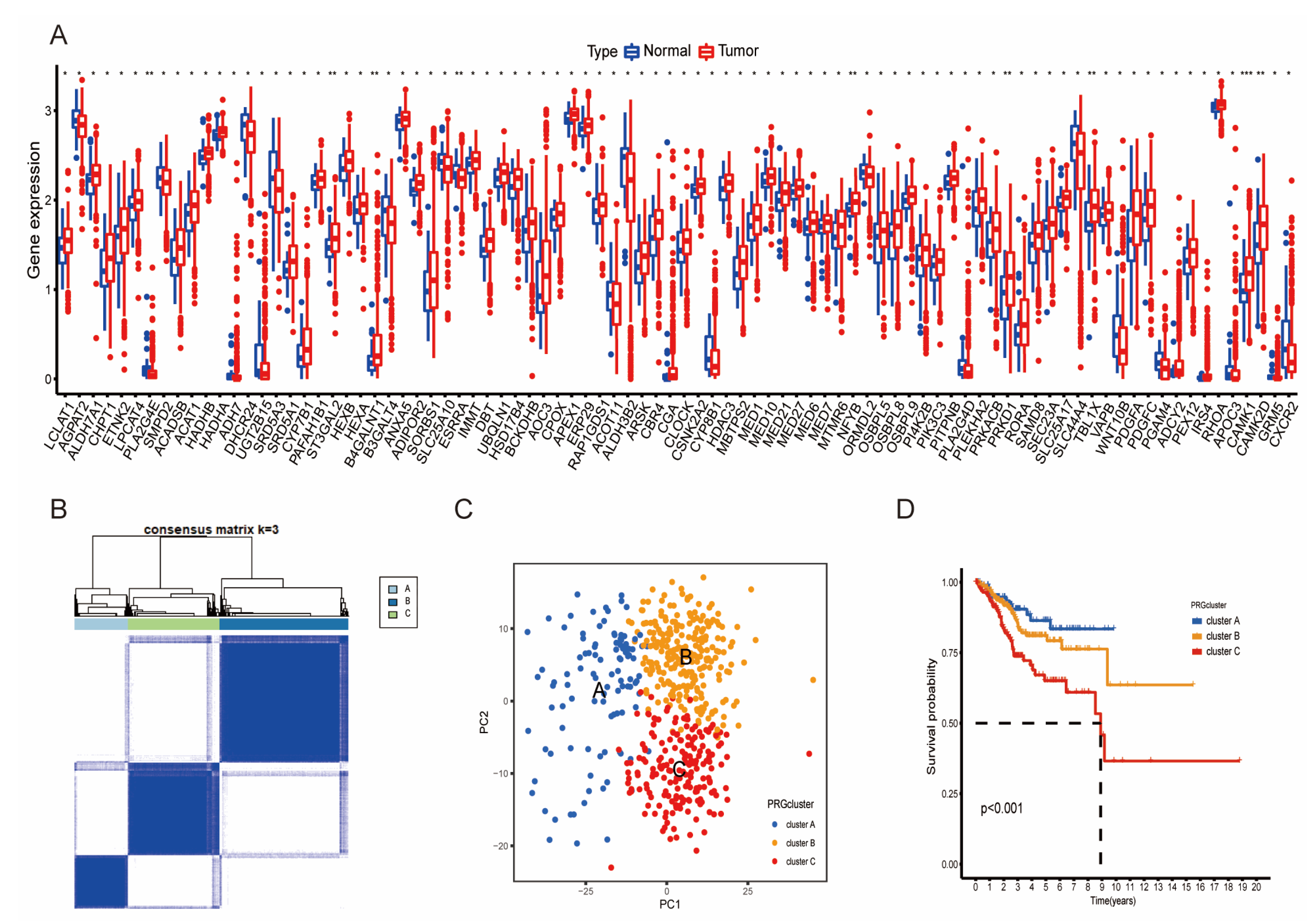 Diagnostics 13 00870 g001