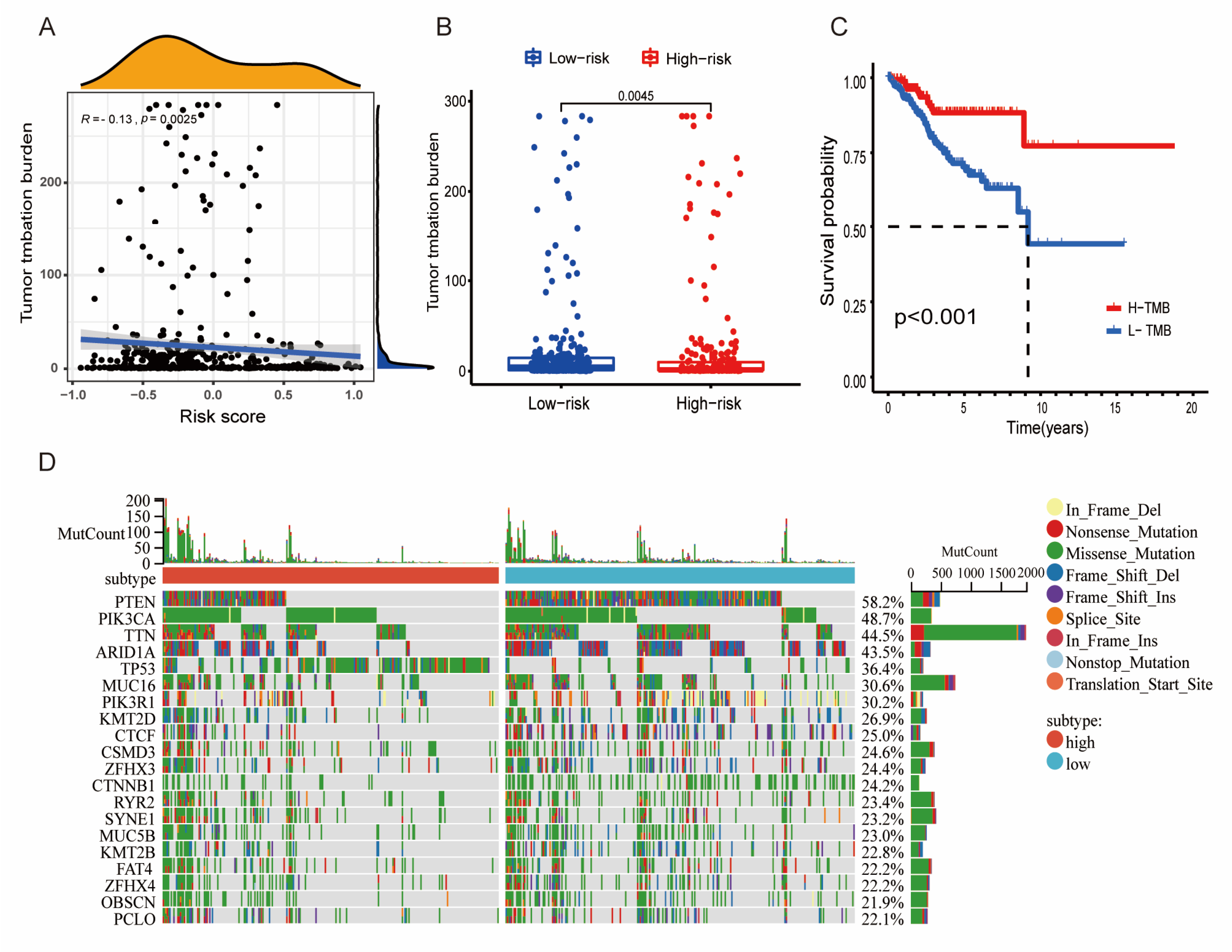 Diagnostics 13 00870 g005