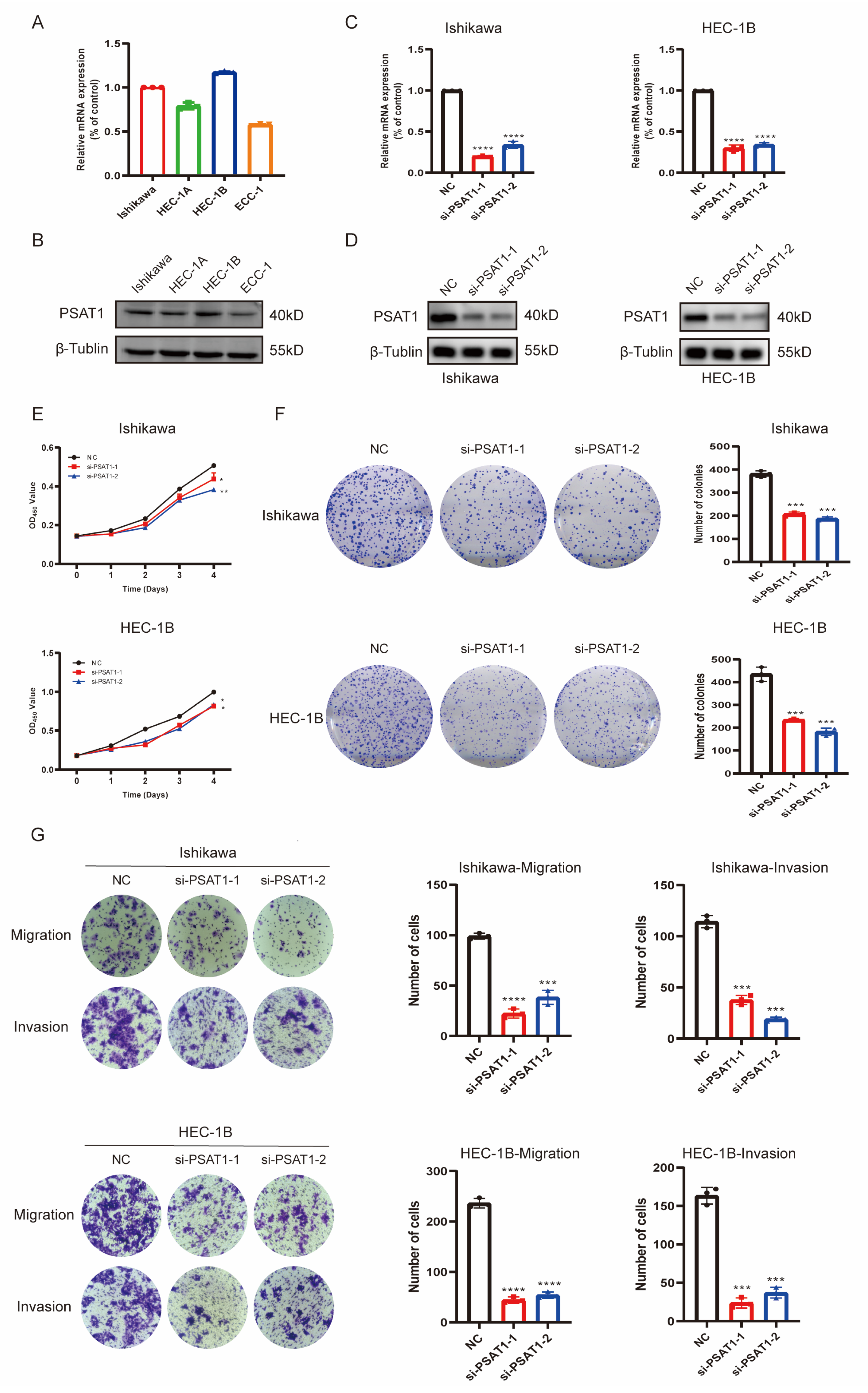 Diagnostics 13 00870 g007