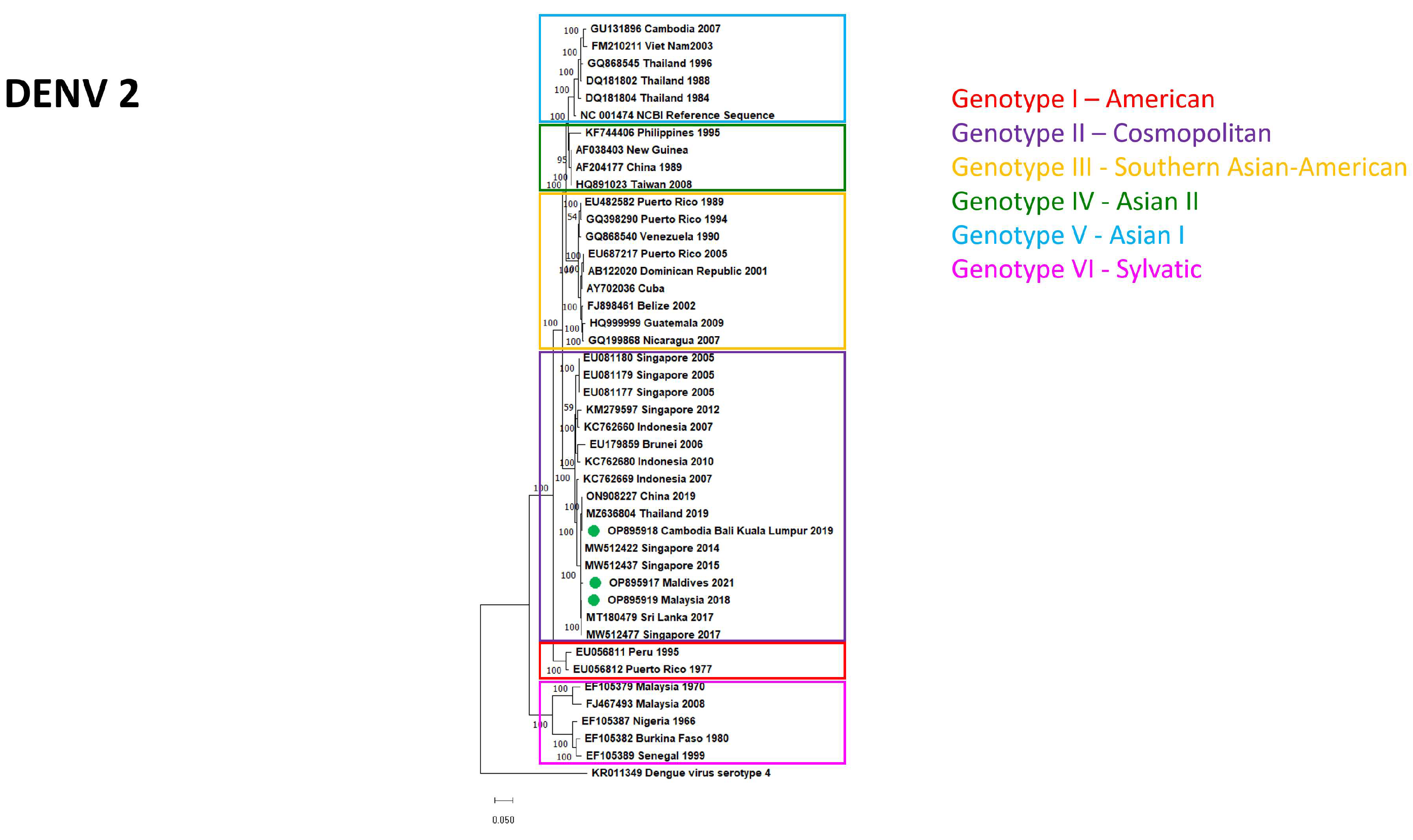 Diagnostics 13 00873 g004